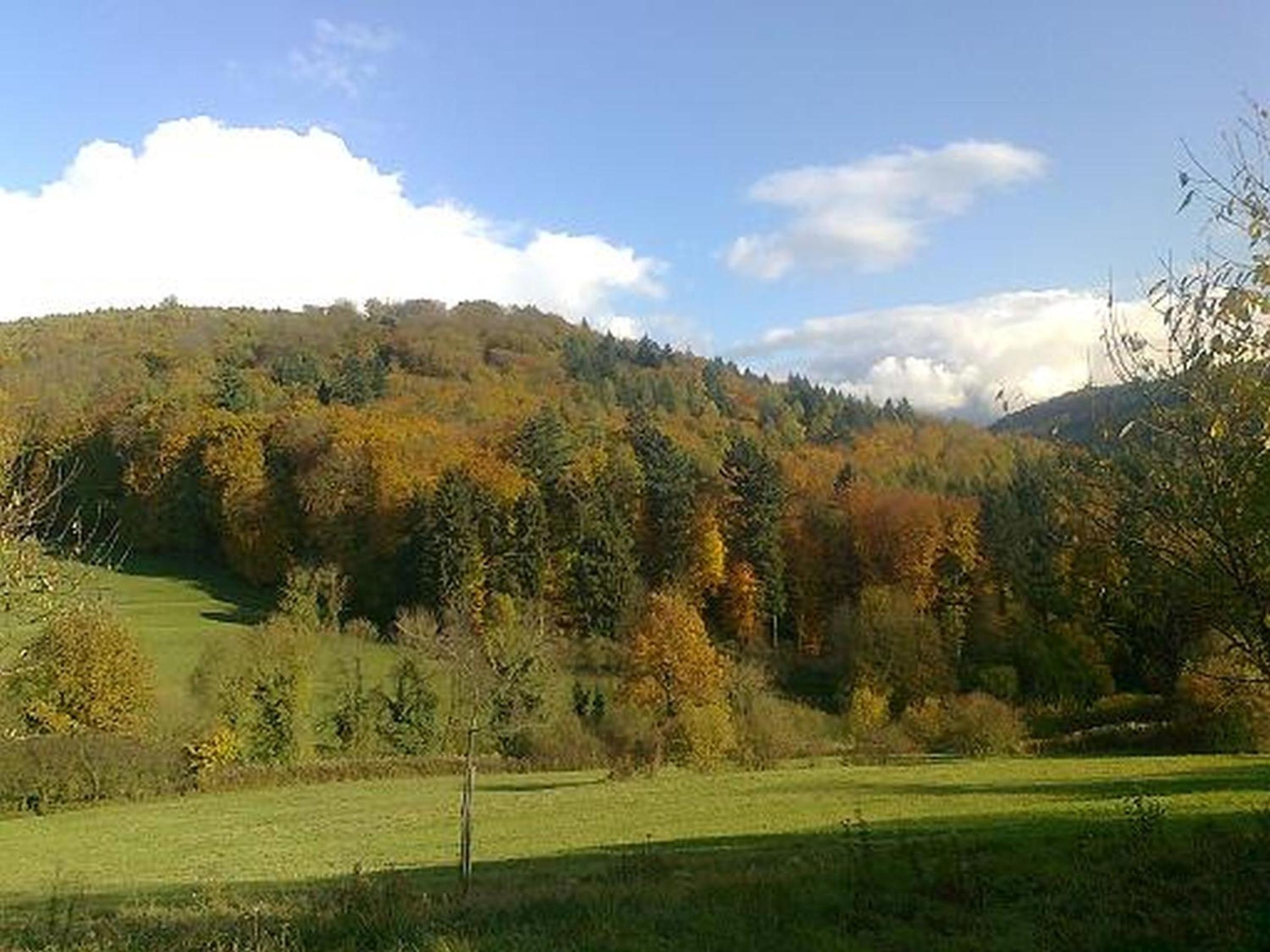 Rosenhof Broggingen