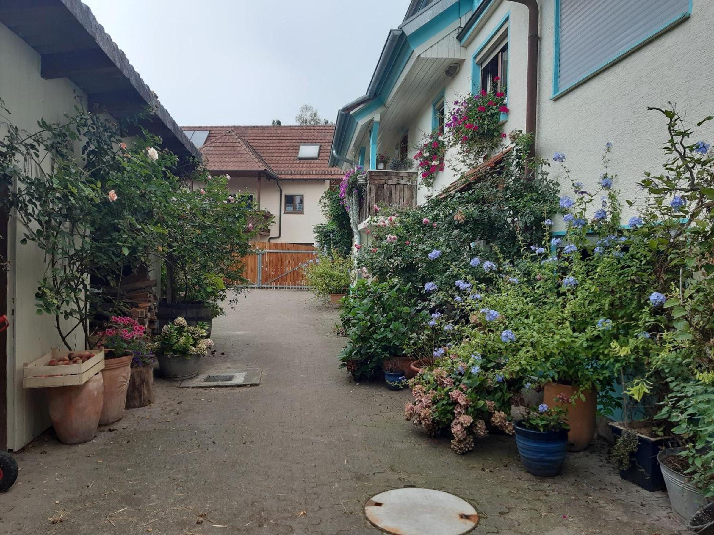 Rosenhof Broggingen