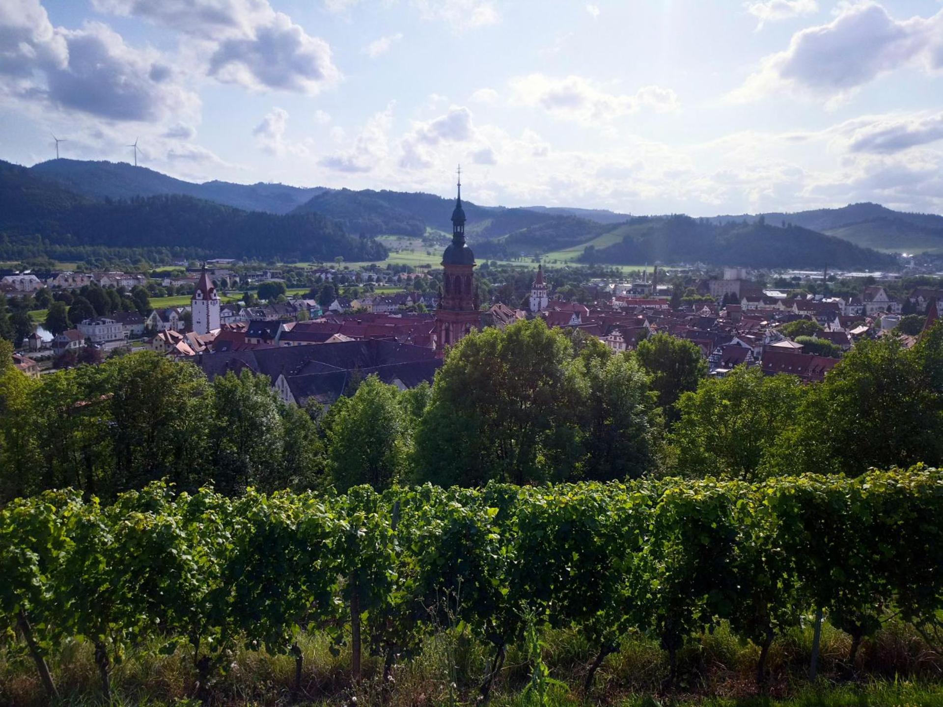 Ferienwohnung Sester view 5