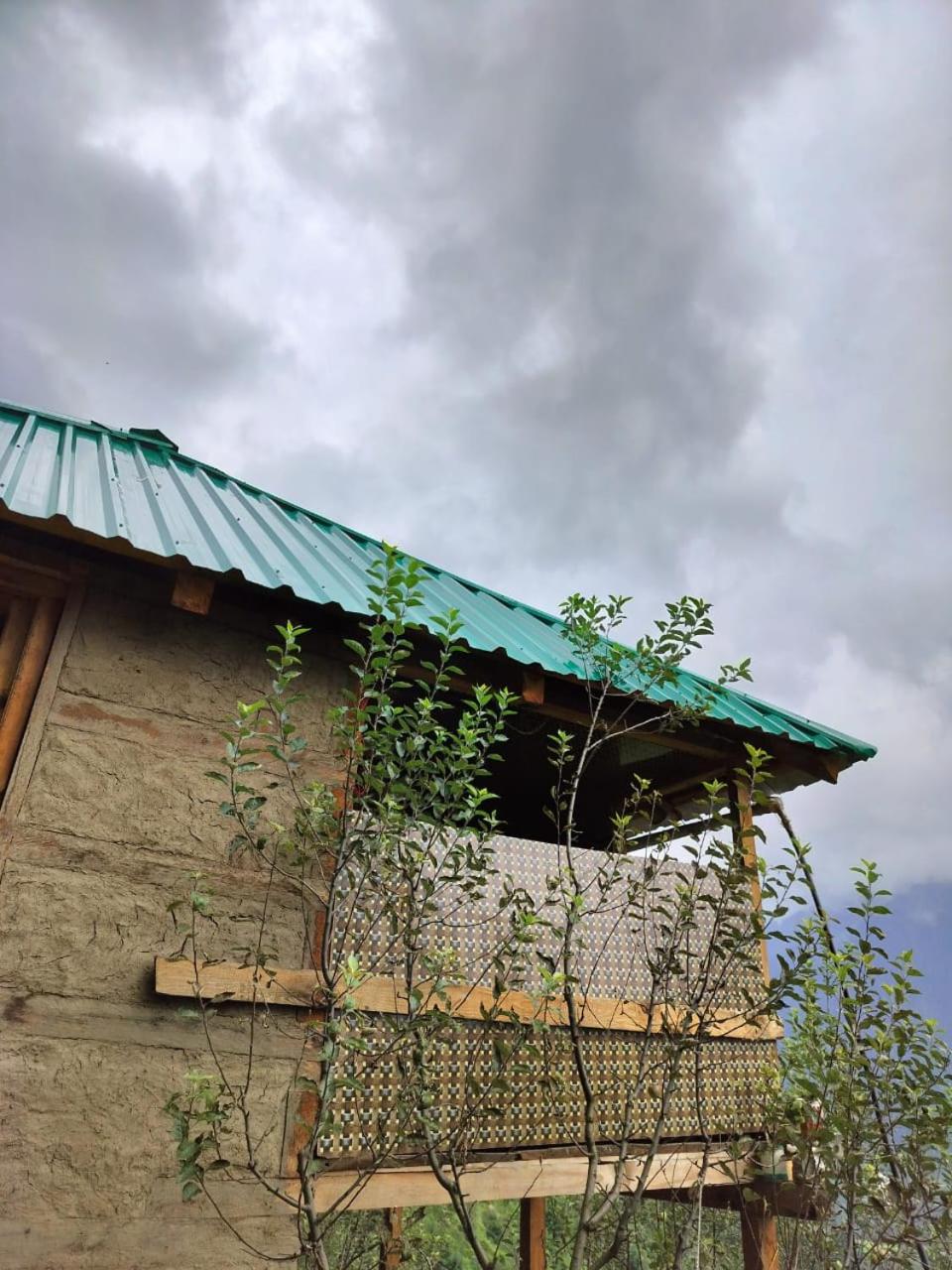 Photo 19