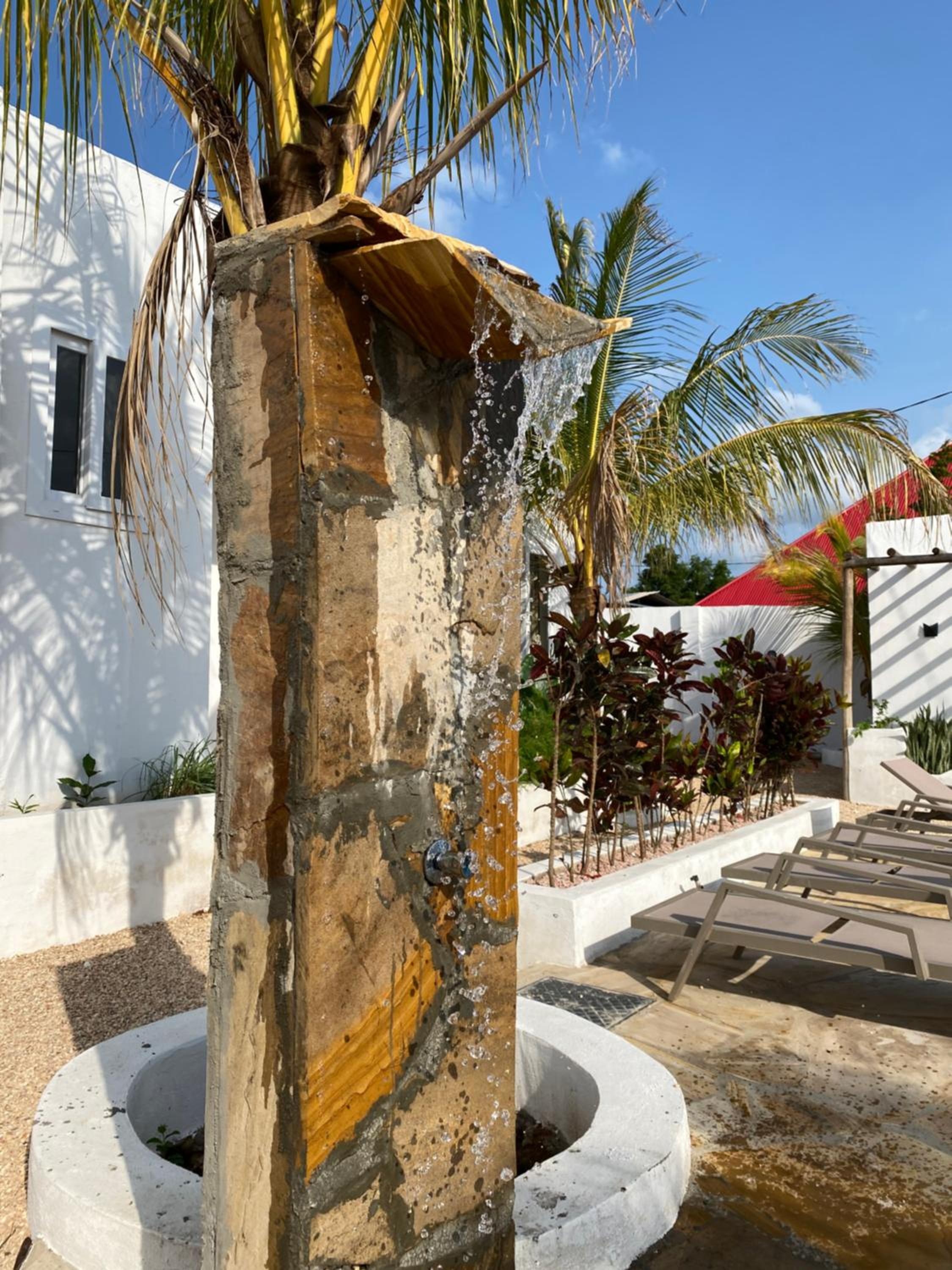 Cactus lodge Zanzibar