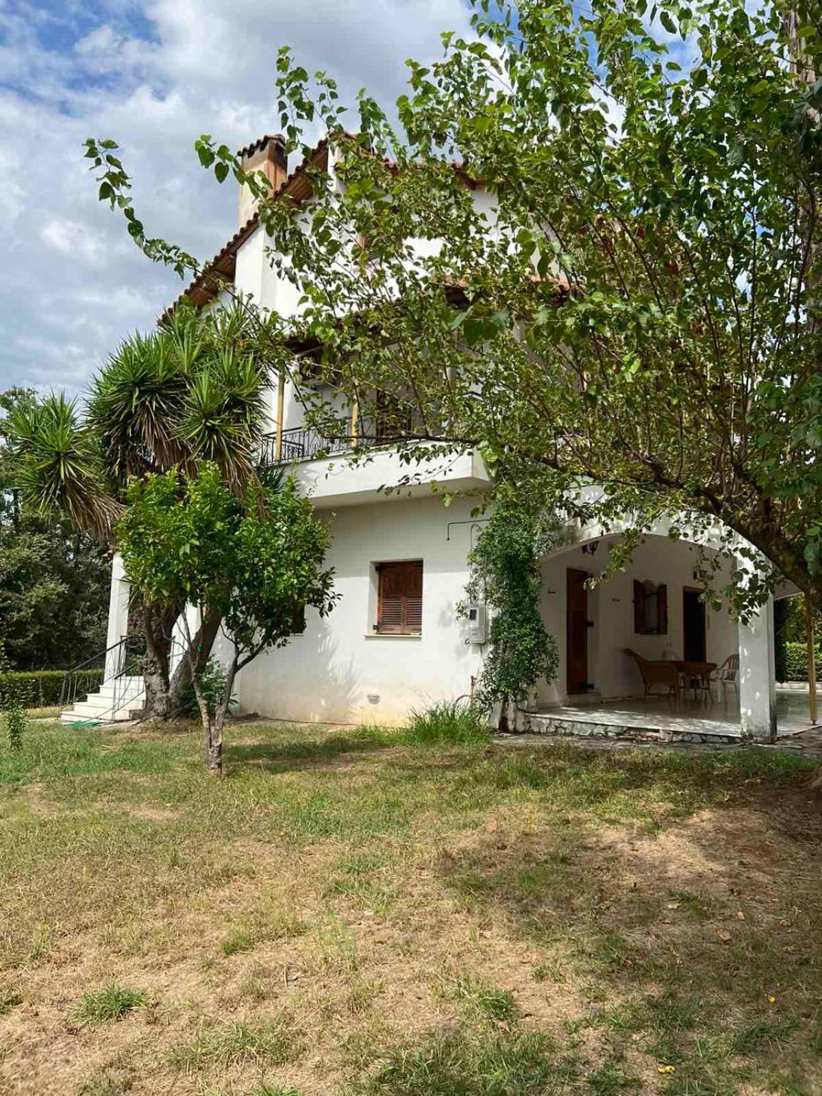 GABBIANO VILLA