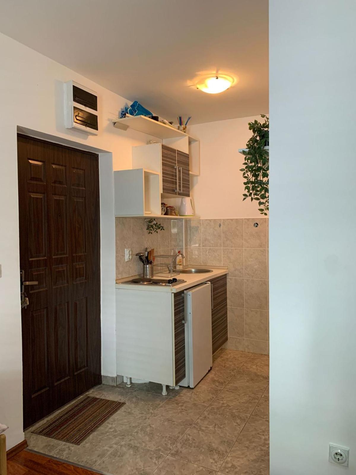 Mint Apartment studio view 4