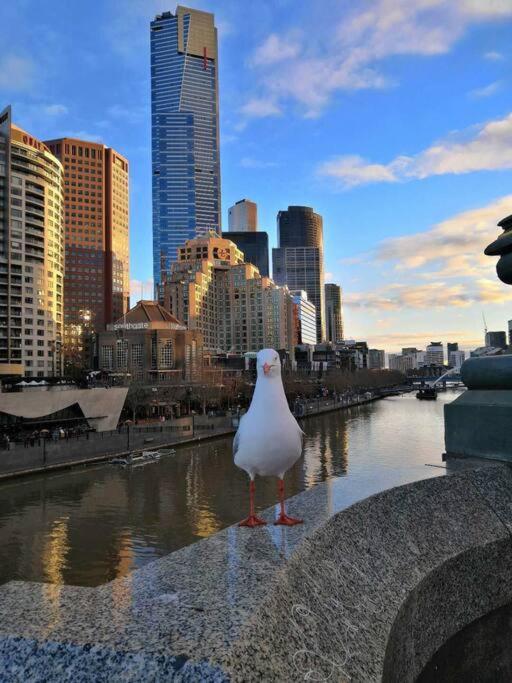 Stylish CBD Near Southern Cross with Balcony/POOL/GYM