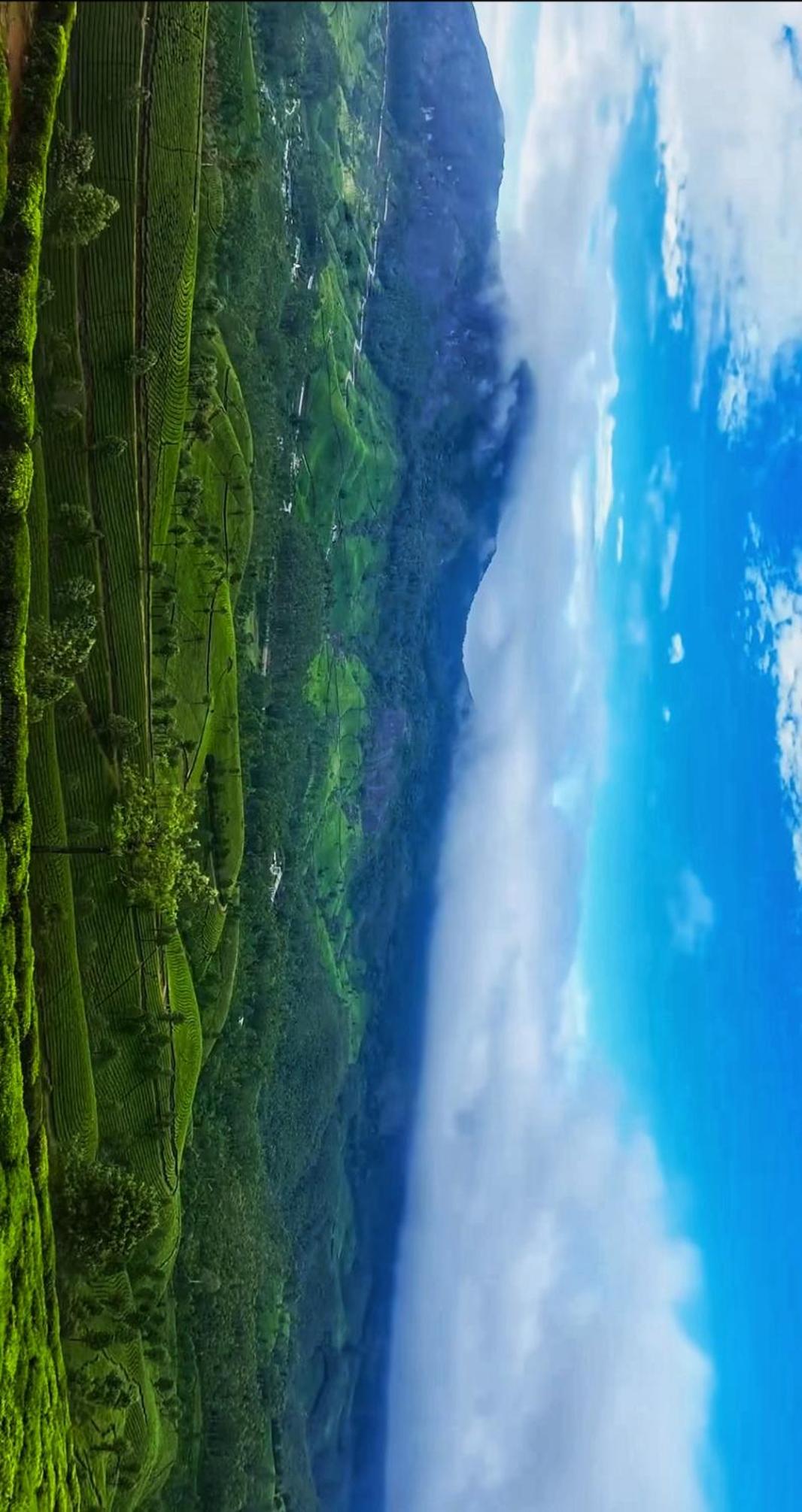 Wildnature