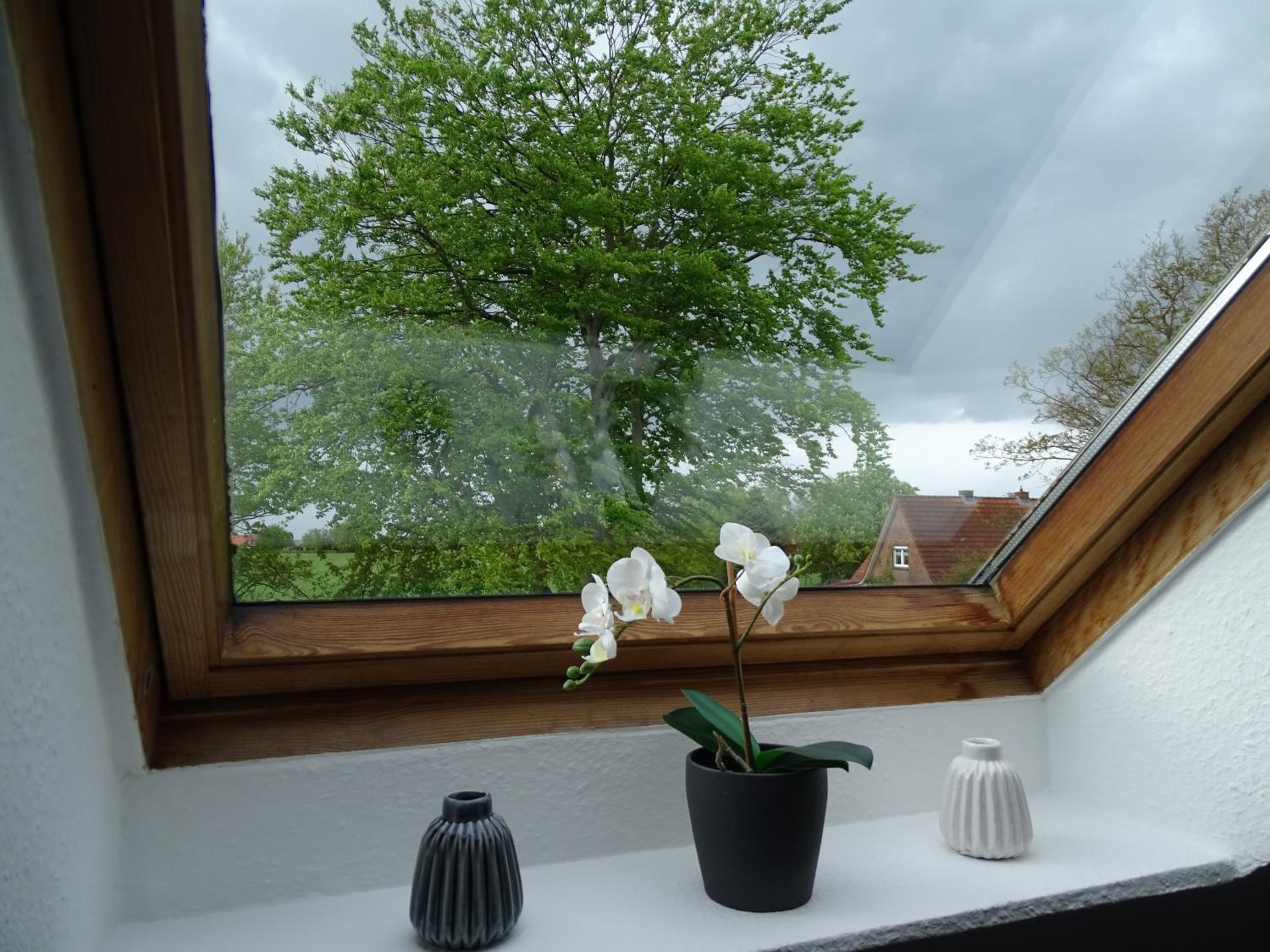 Ferienhof Ostarle view 5