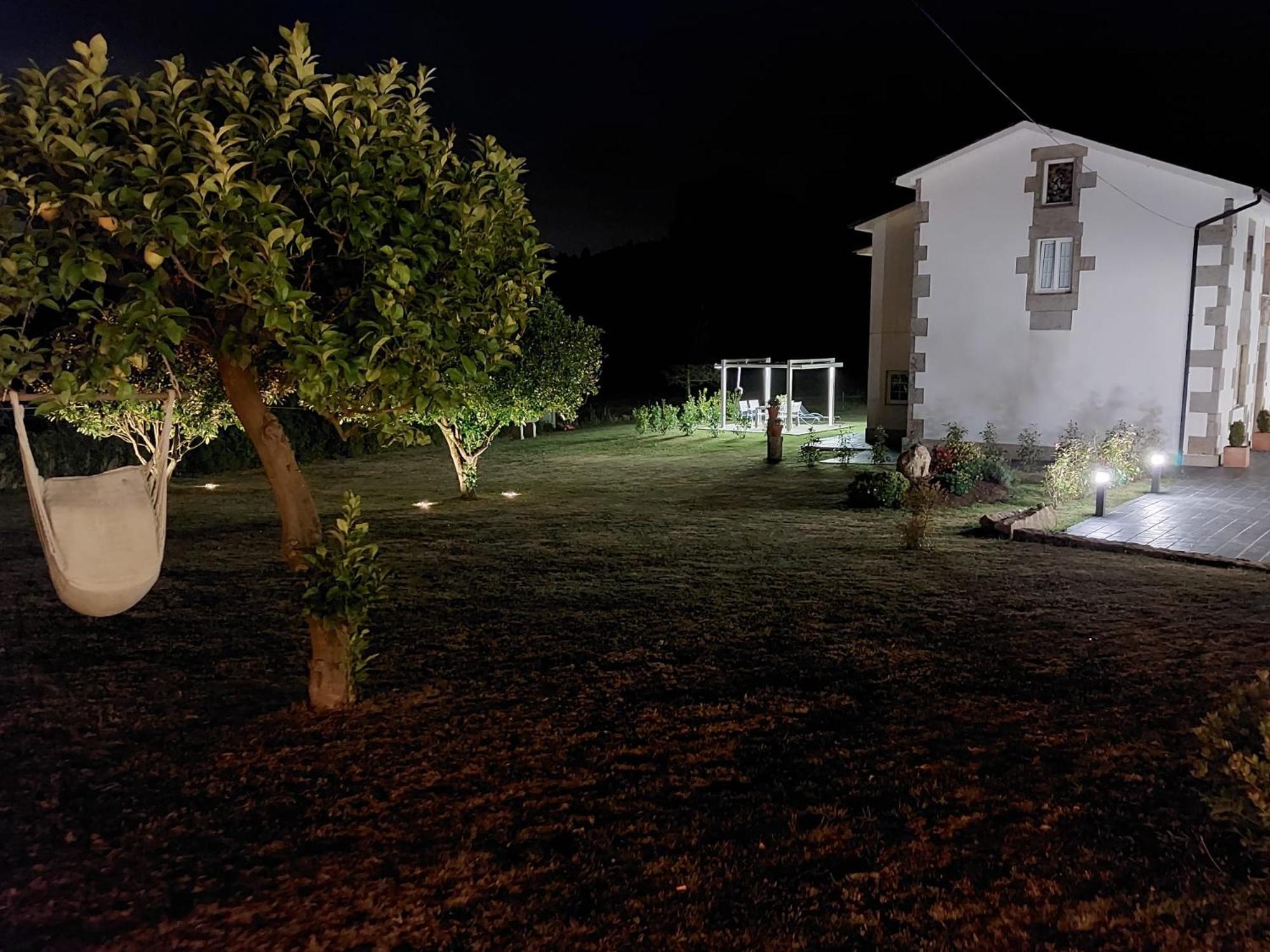 Photo 45