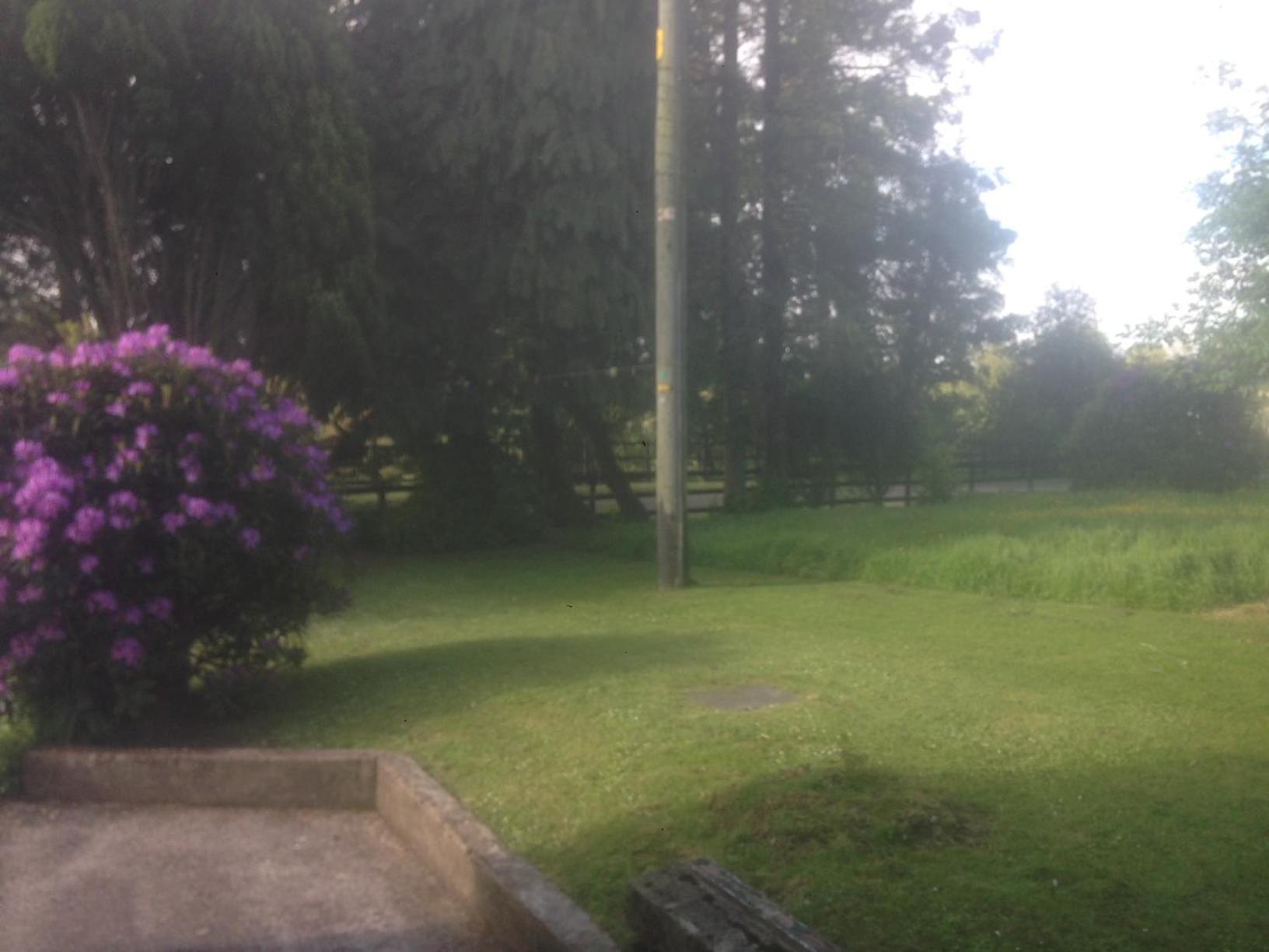 Photo 49