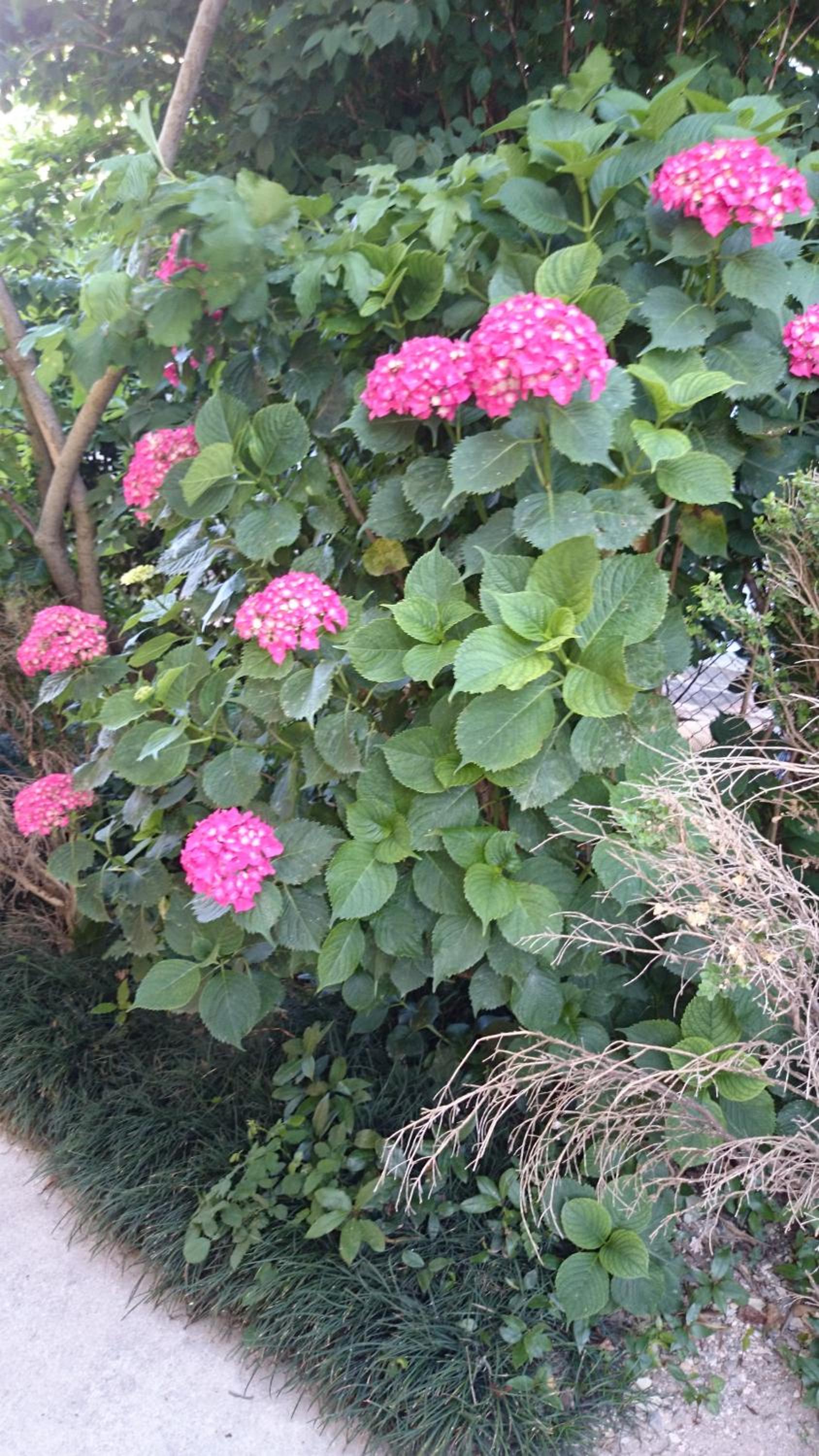 Photo 50