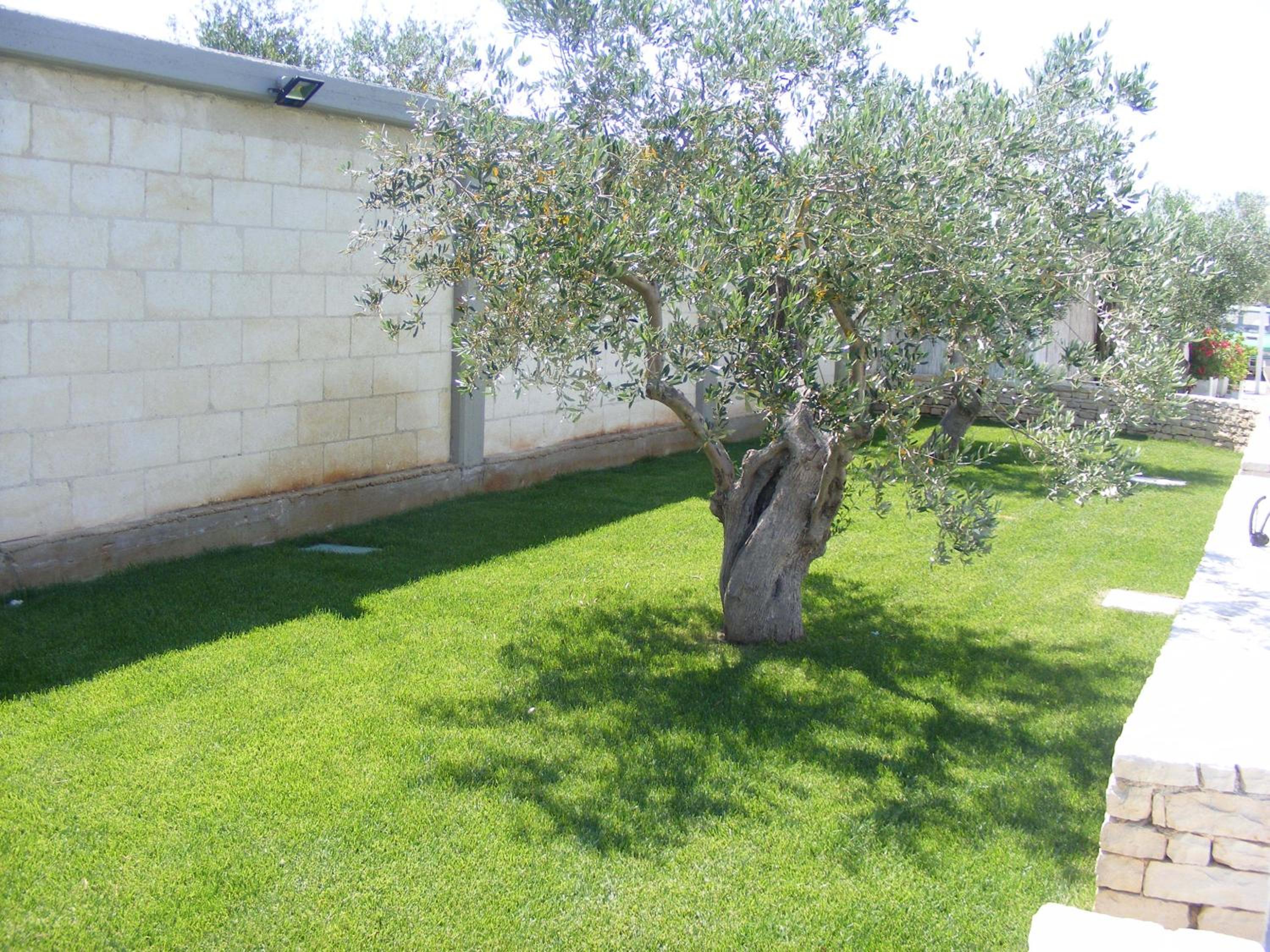 B&B FreeZone en Modugno