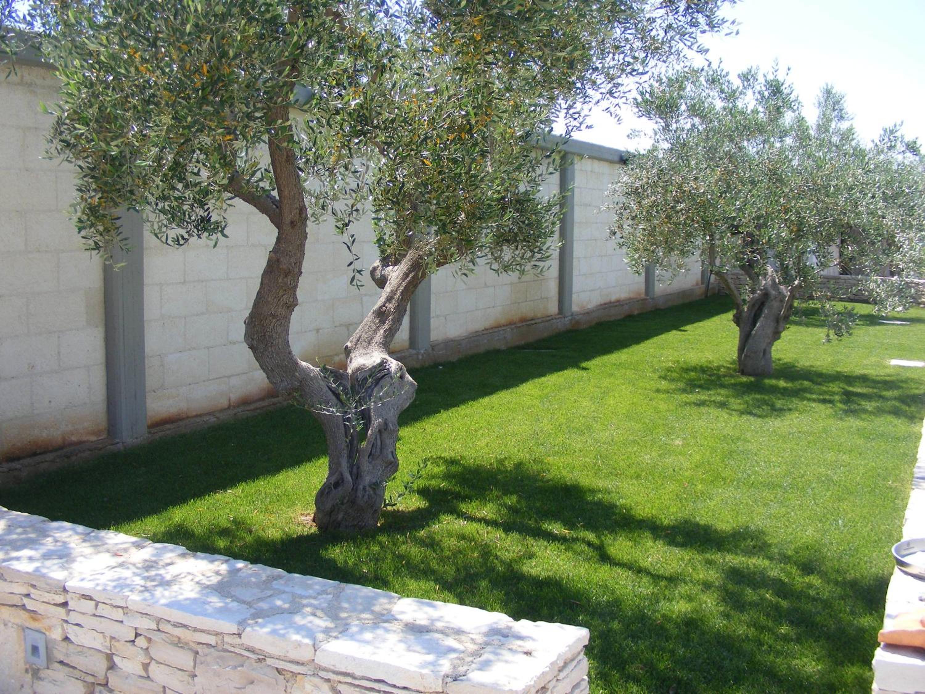 B&B FreeZone en Modugno