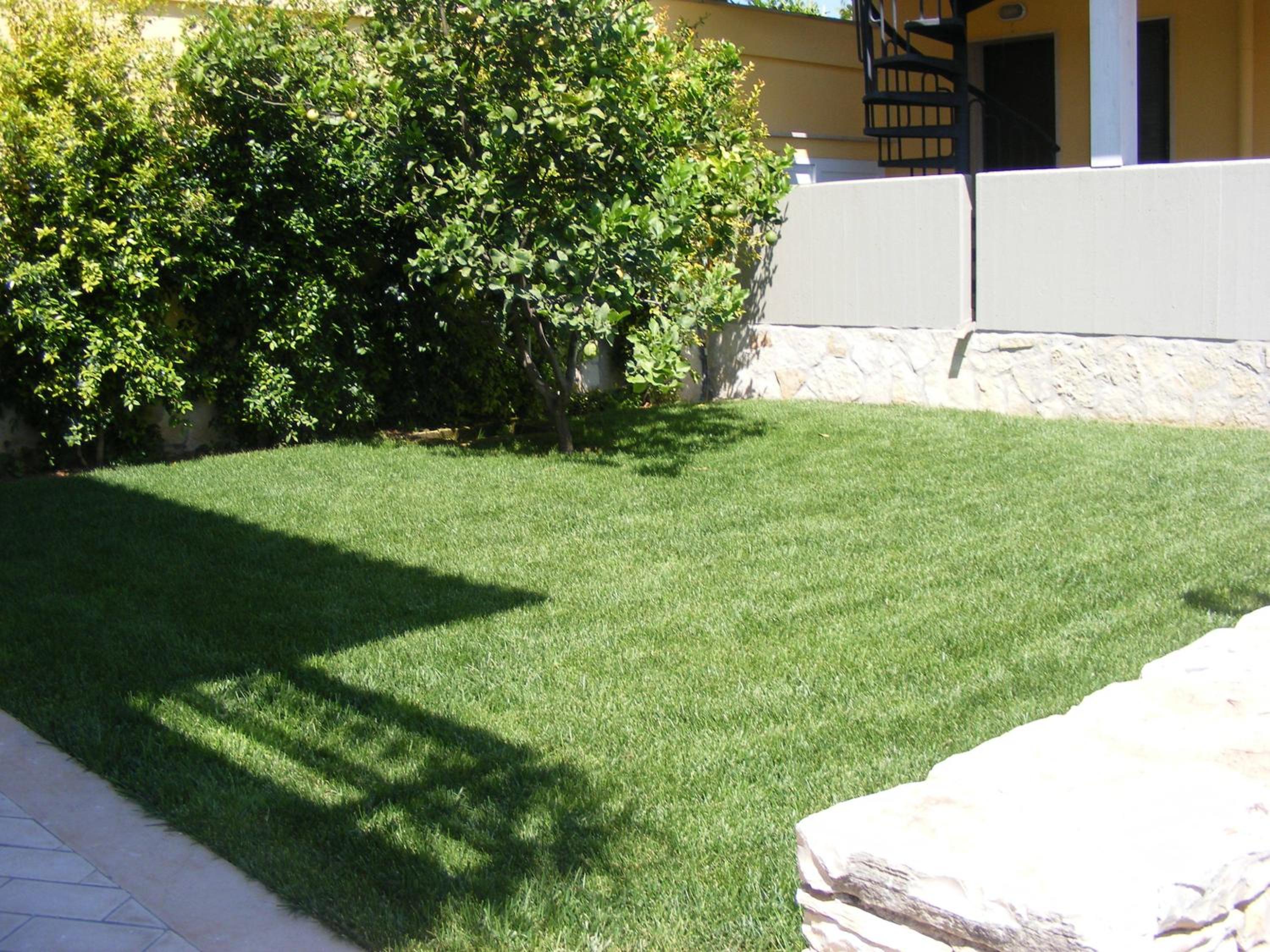 B&B FreeZone, photo 13