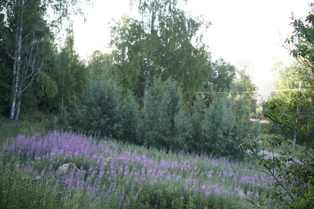 Photo 29