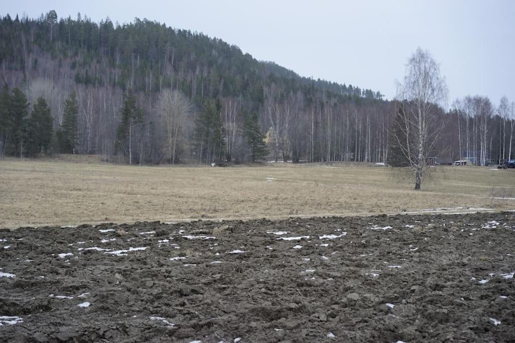 Photo 31