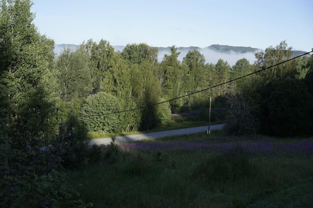 Photo 83