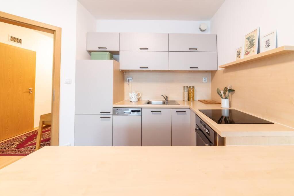 Grape Apartment