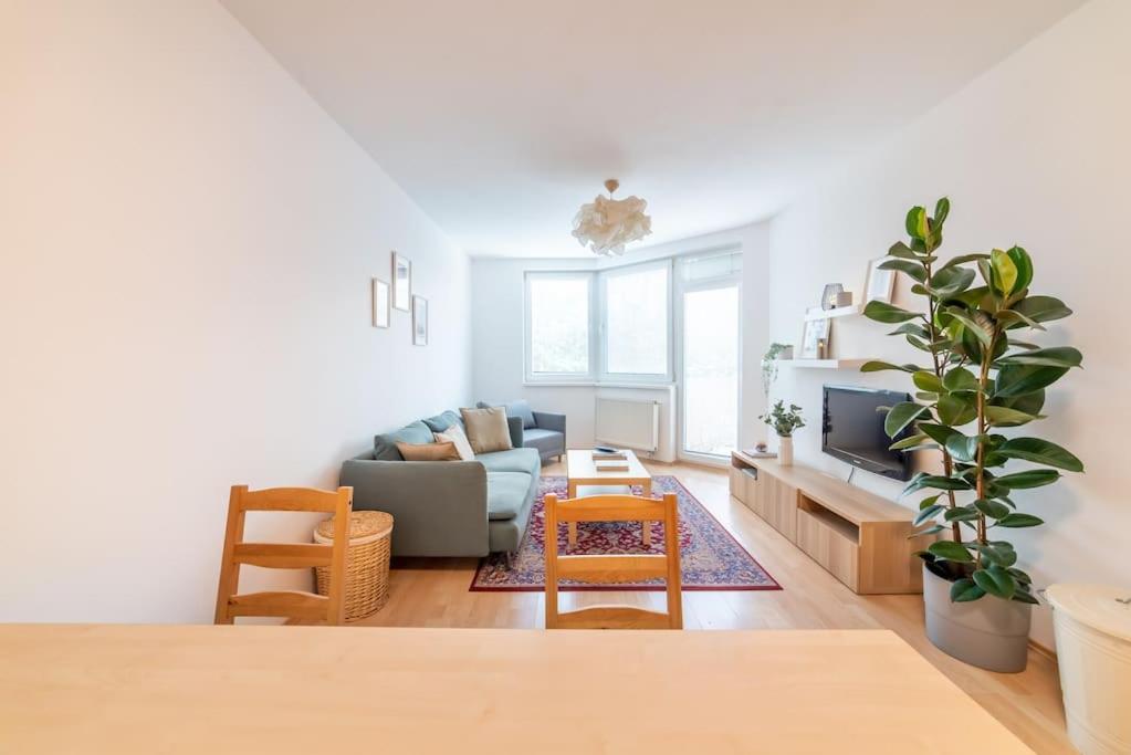Grape Apartment