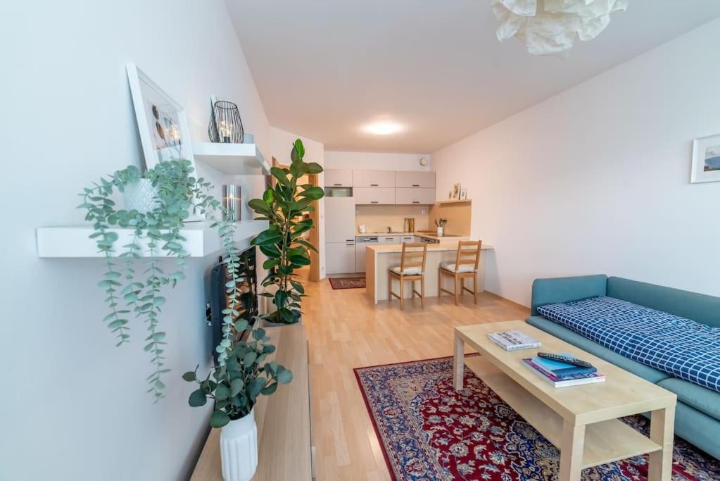Grape Apartment