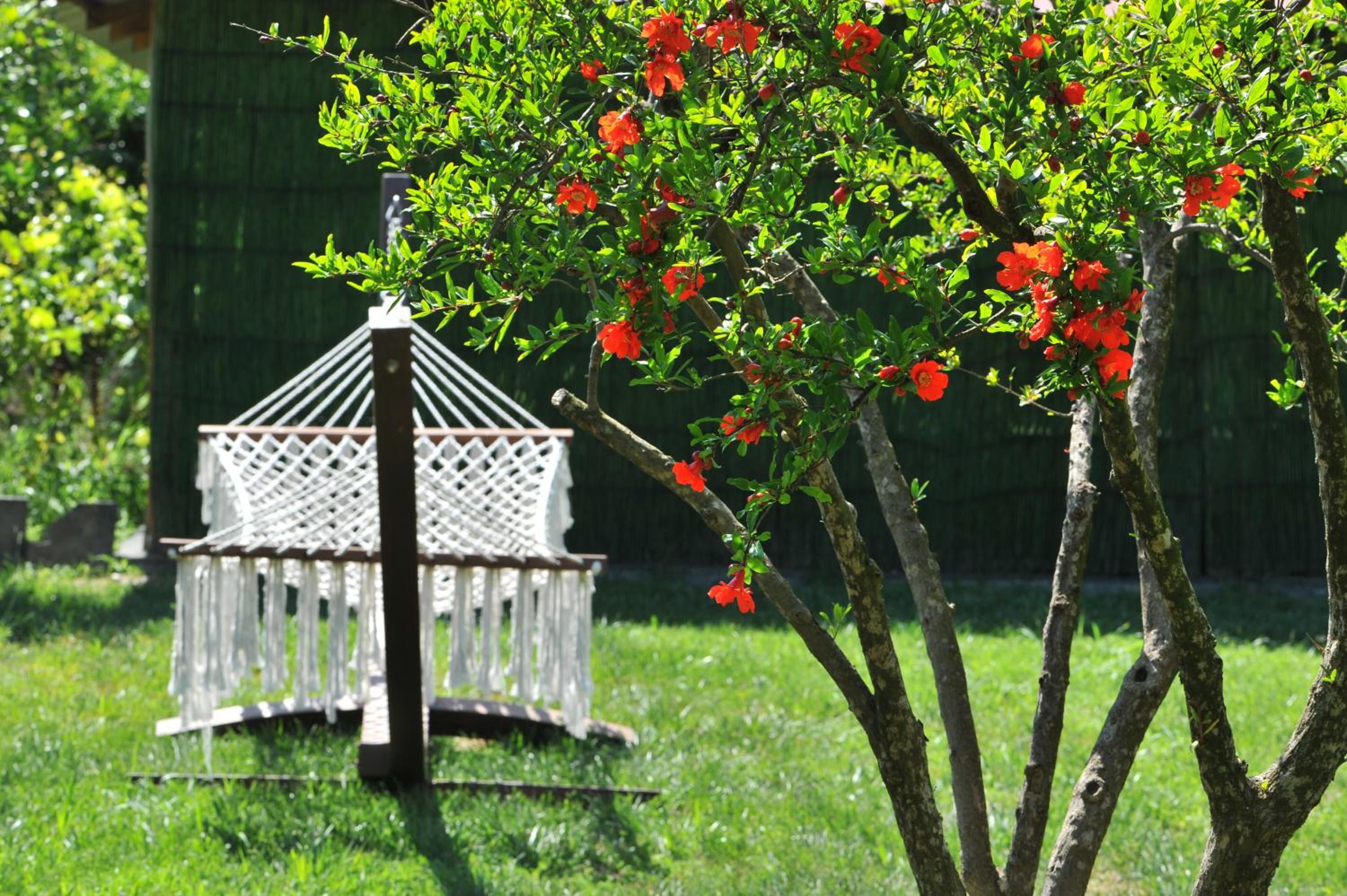 Grenadine Lodge