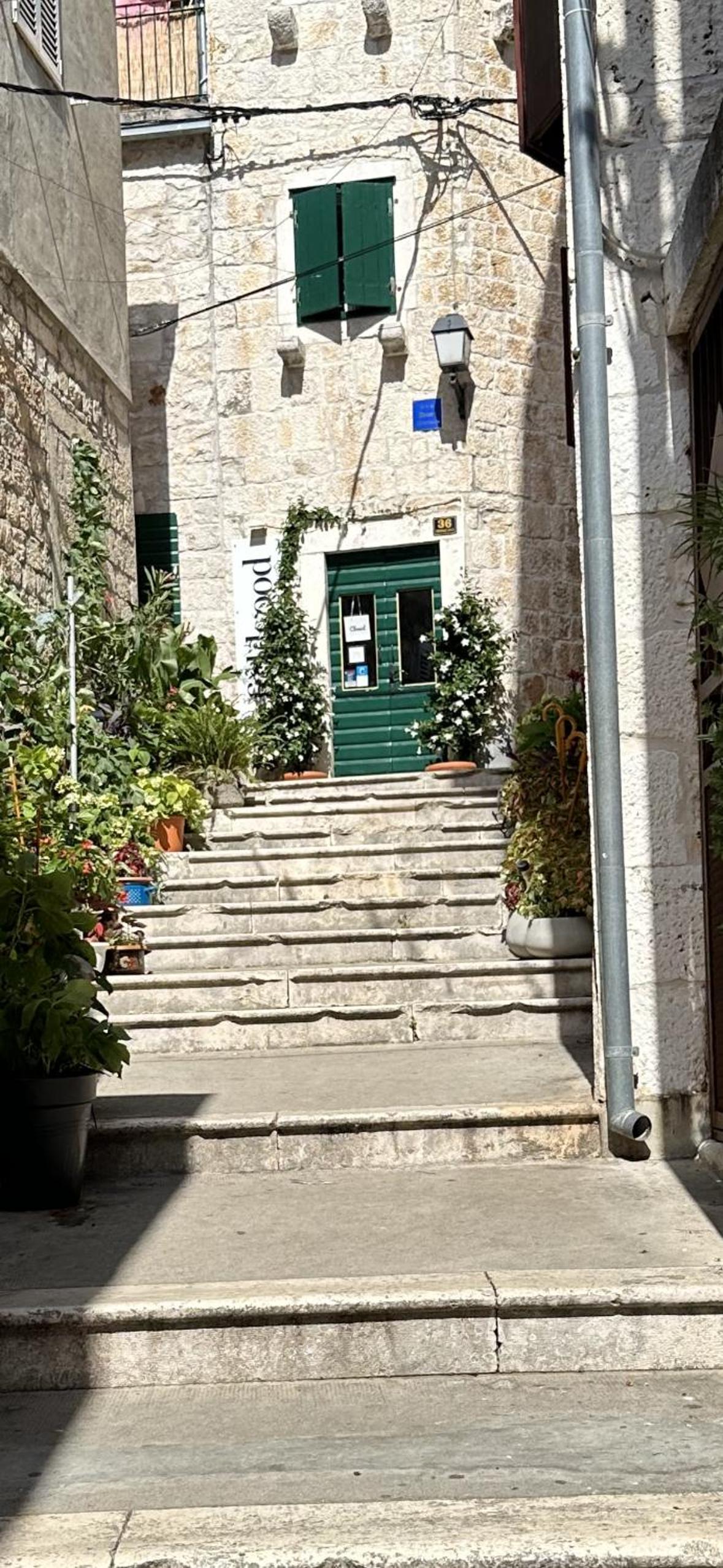 Photo 41