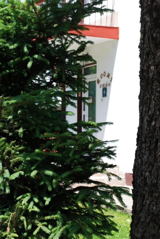 Rooms Lisičić