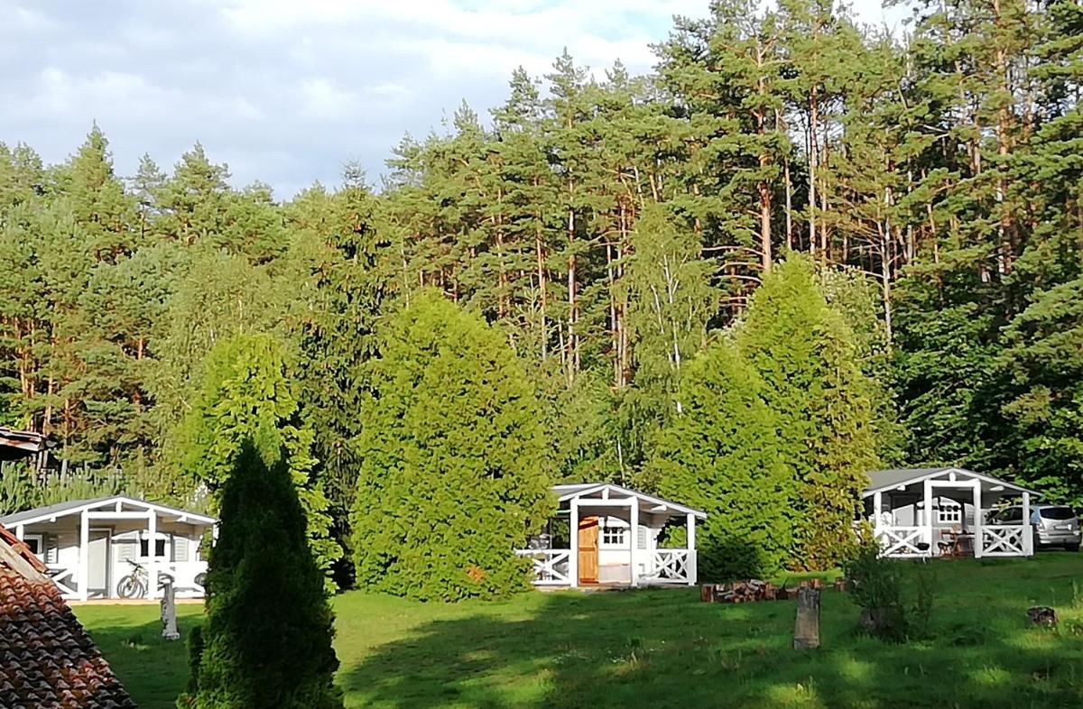 Domki w Lesie view 3