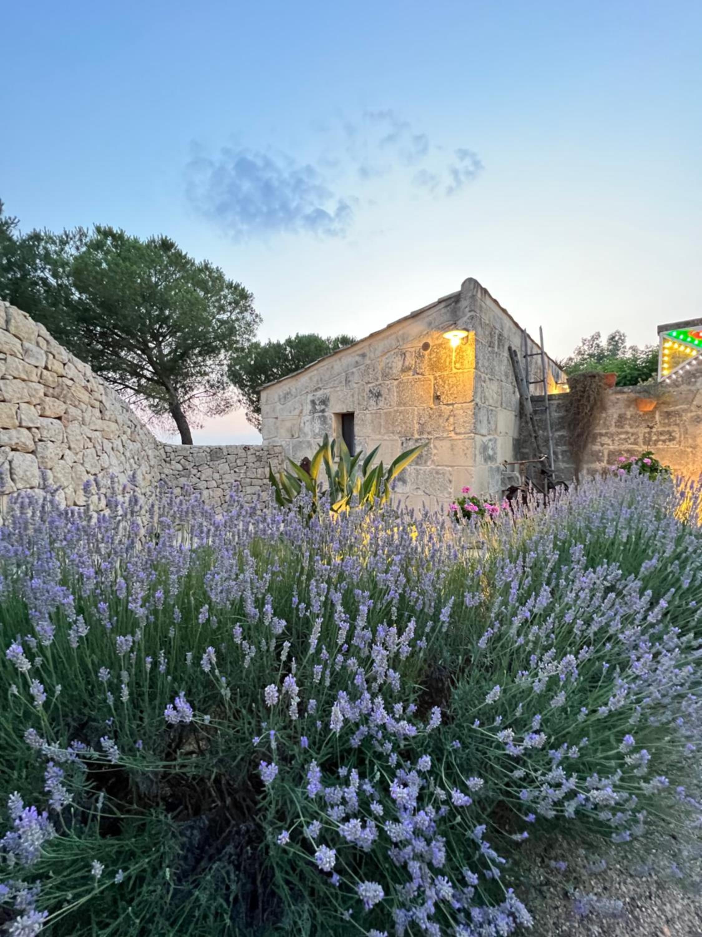 Masseria Casina Montana, photo 29