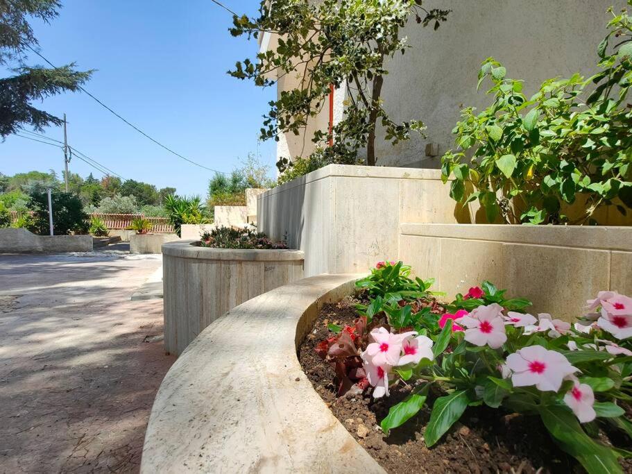 Villa con pineta view 5