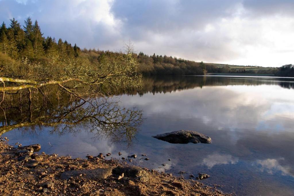 Yelverton Vacations - The Rosemont - Property Image 5