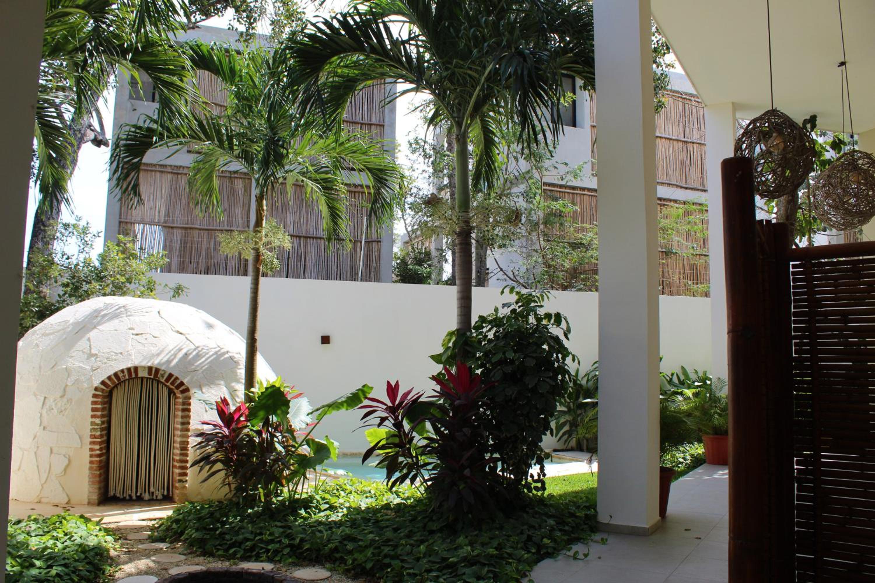 Photo 11