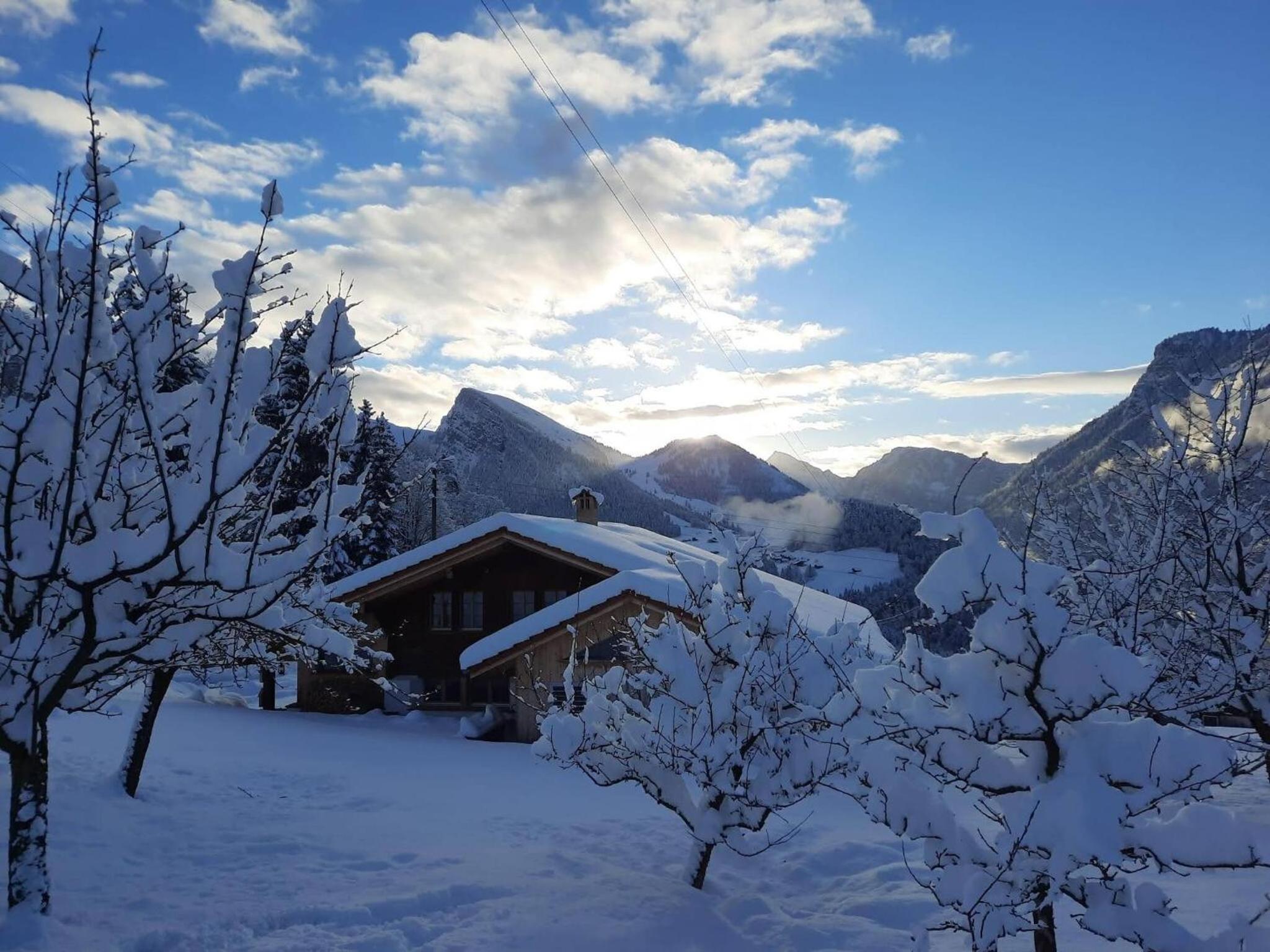 Apartment Chalet Grittelihus, between Interlaken - Gstaad