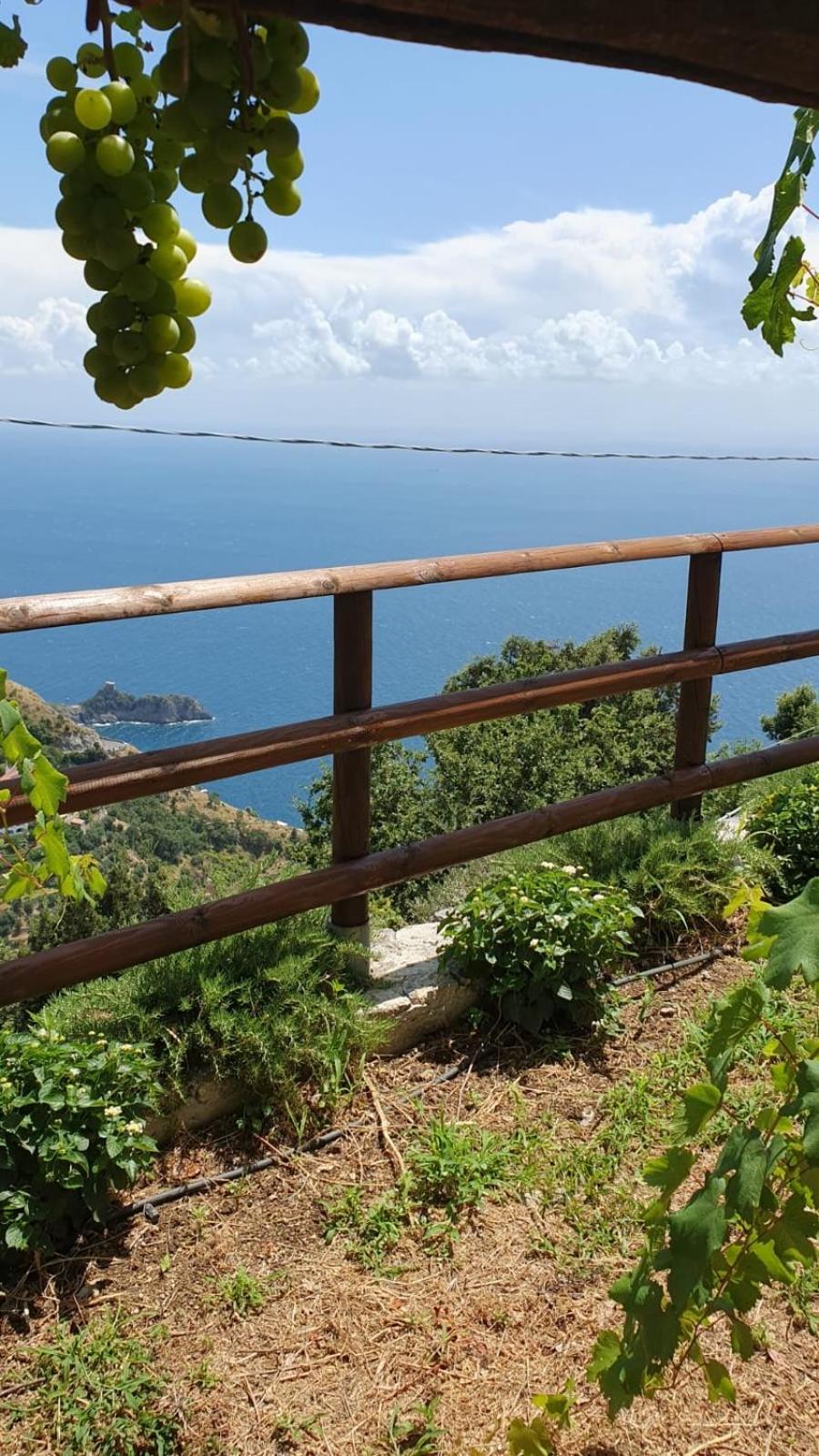 Il Nido Del Falco - Art house with terrace and sea view photo 2