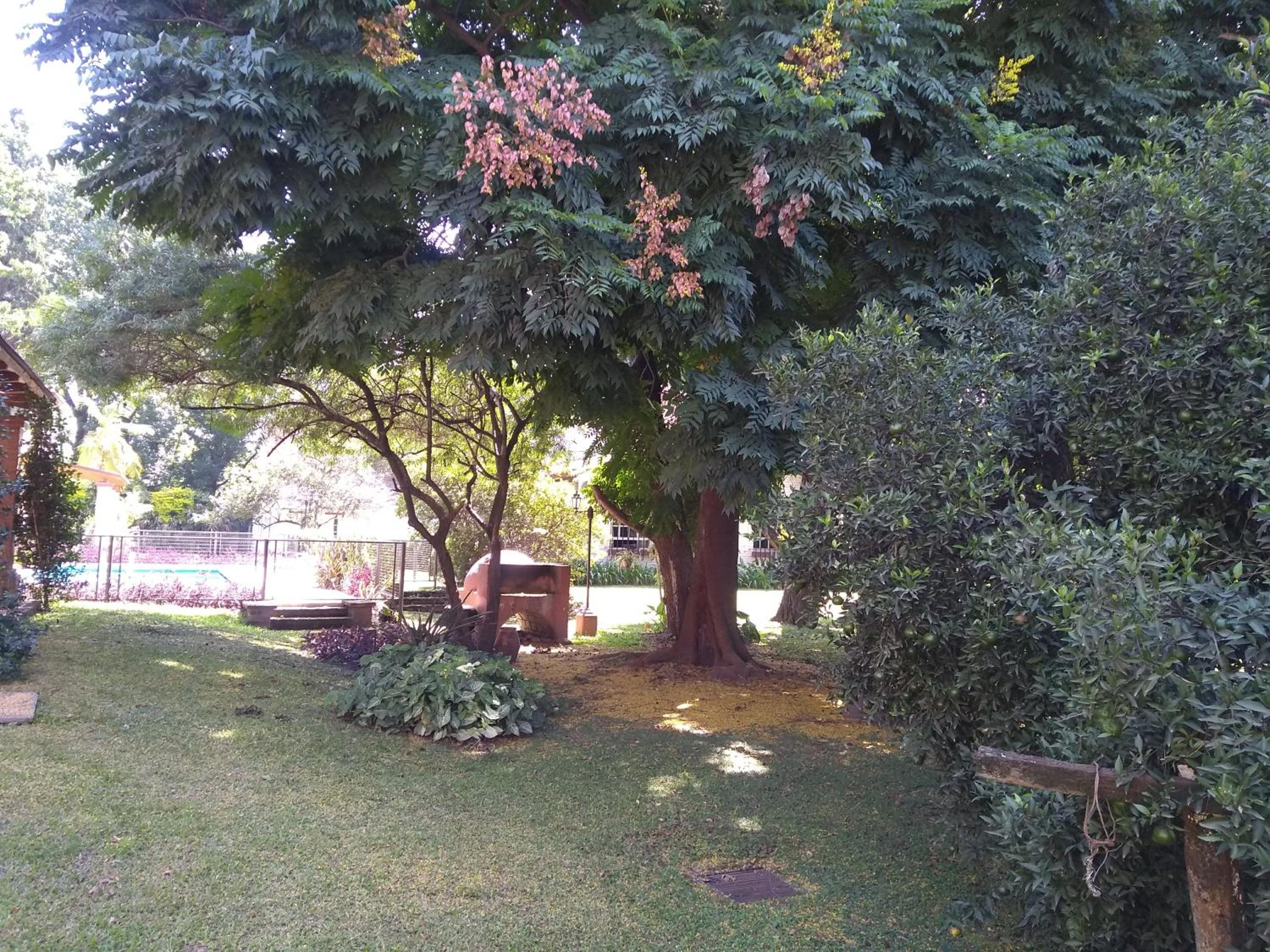 Casas Río Molle