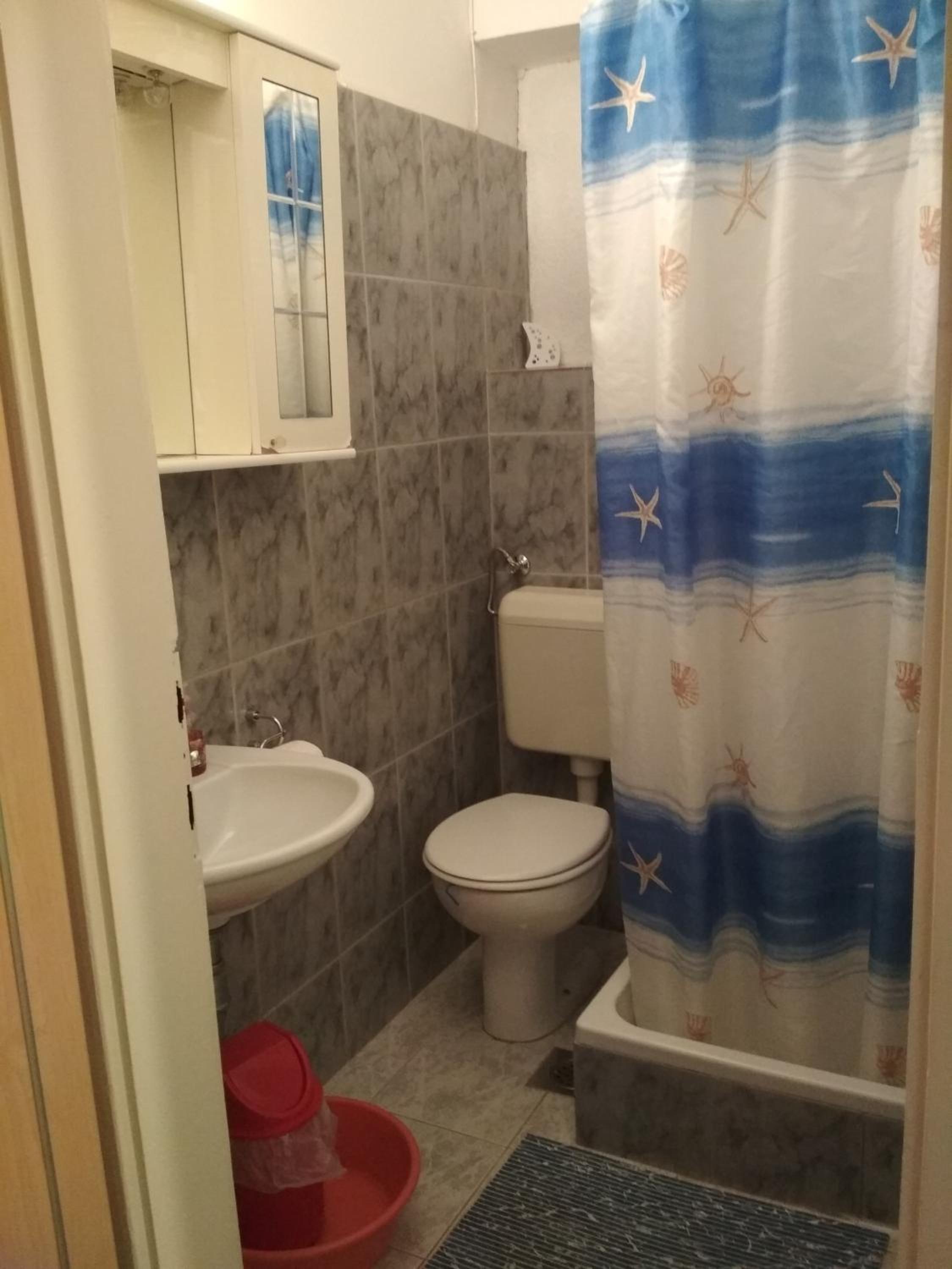 Apartmani Carević