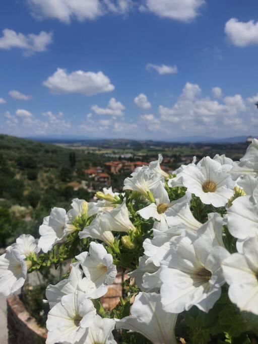Appartamento con vista Sinalunga - Casa Maria