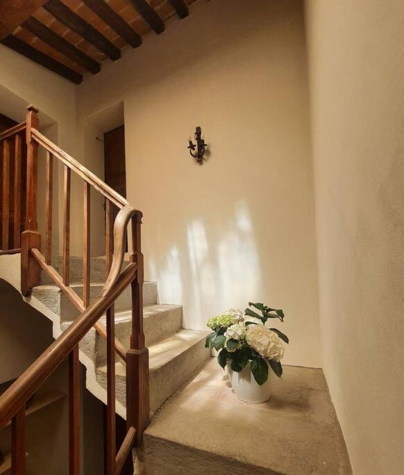 Appartamento con vista Sinalunga - Casa Maria