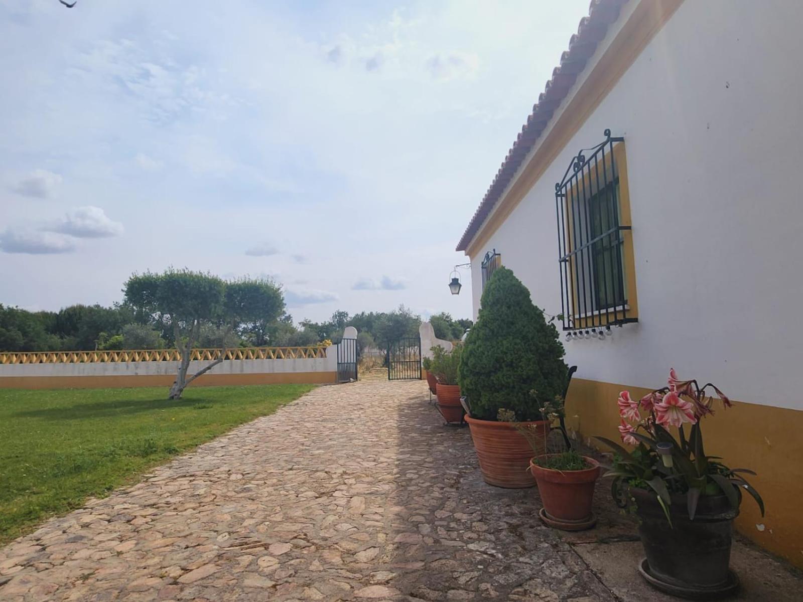 Montinho do Palanque