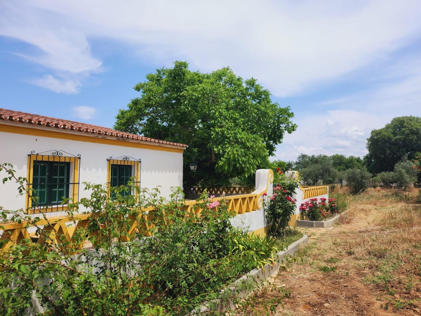 Montinho do Palanque