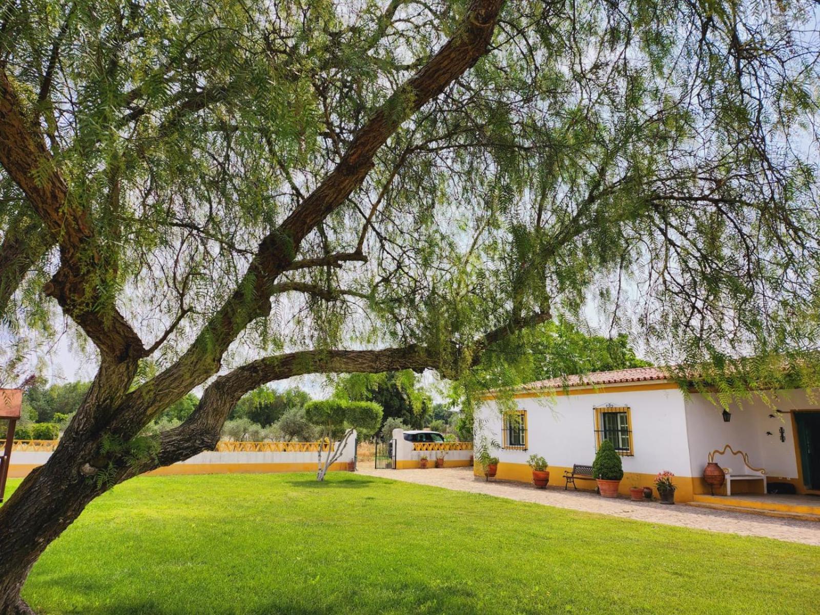 Montinho do Palanque