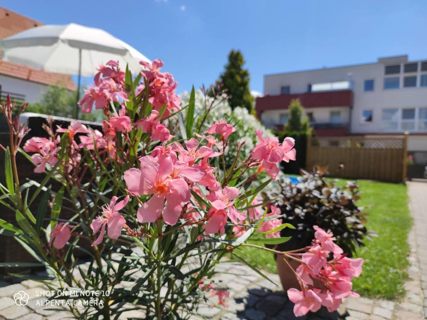 Appartement Ferienhaus Sonnenhain