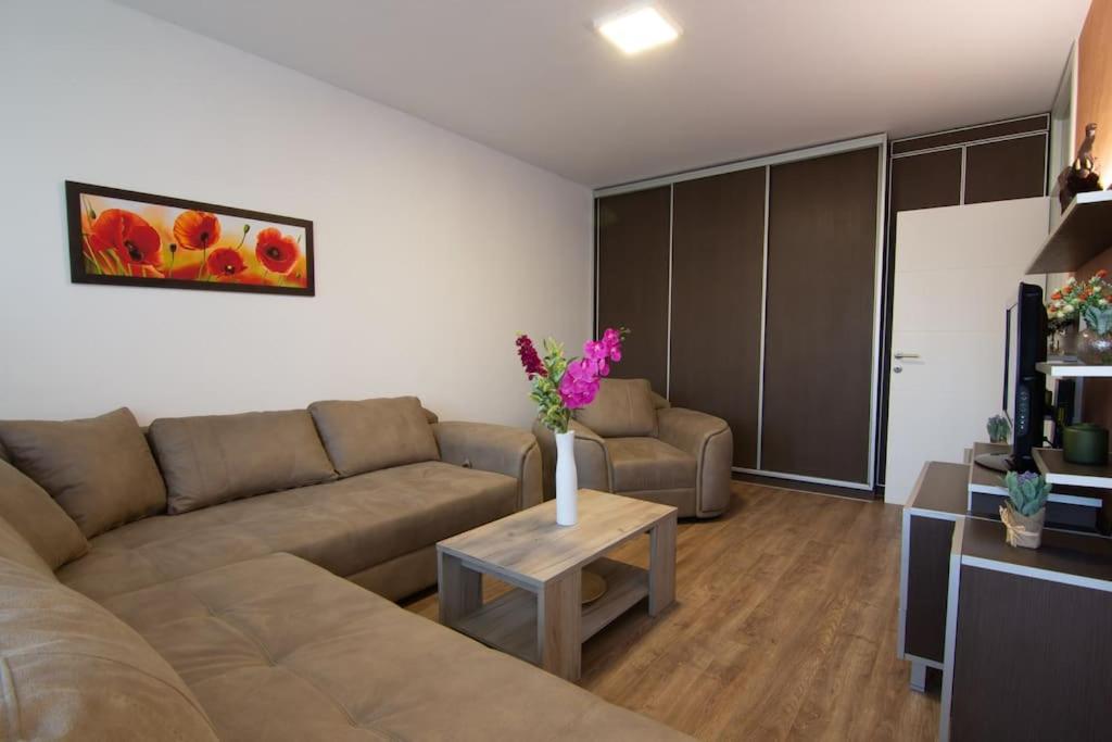 Sava centar-Arena, apartman EMA view 5