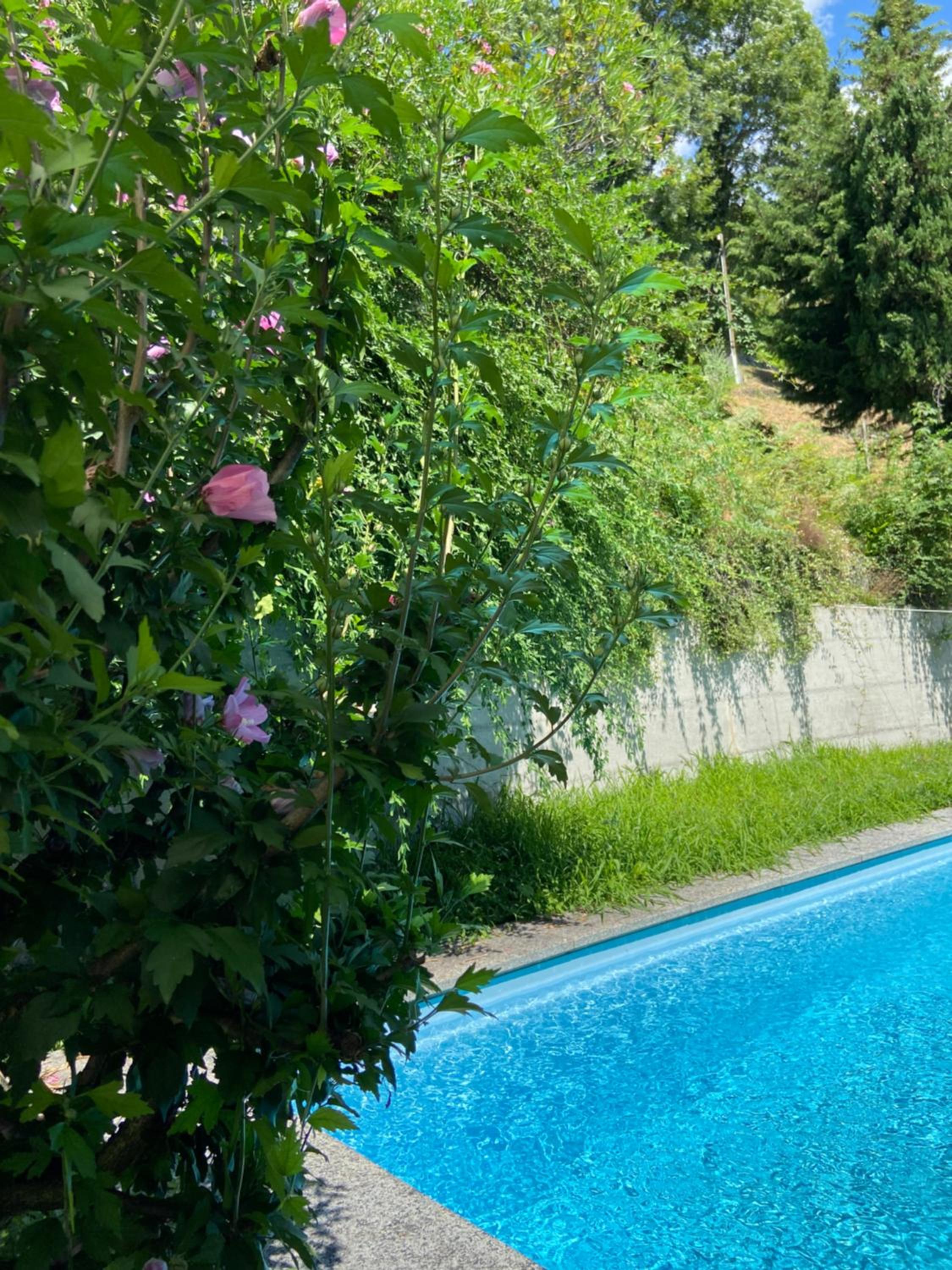 Sete Fontes - Agarone Holiday Nest
