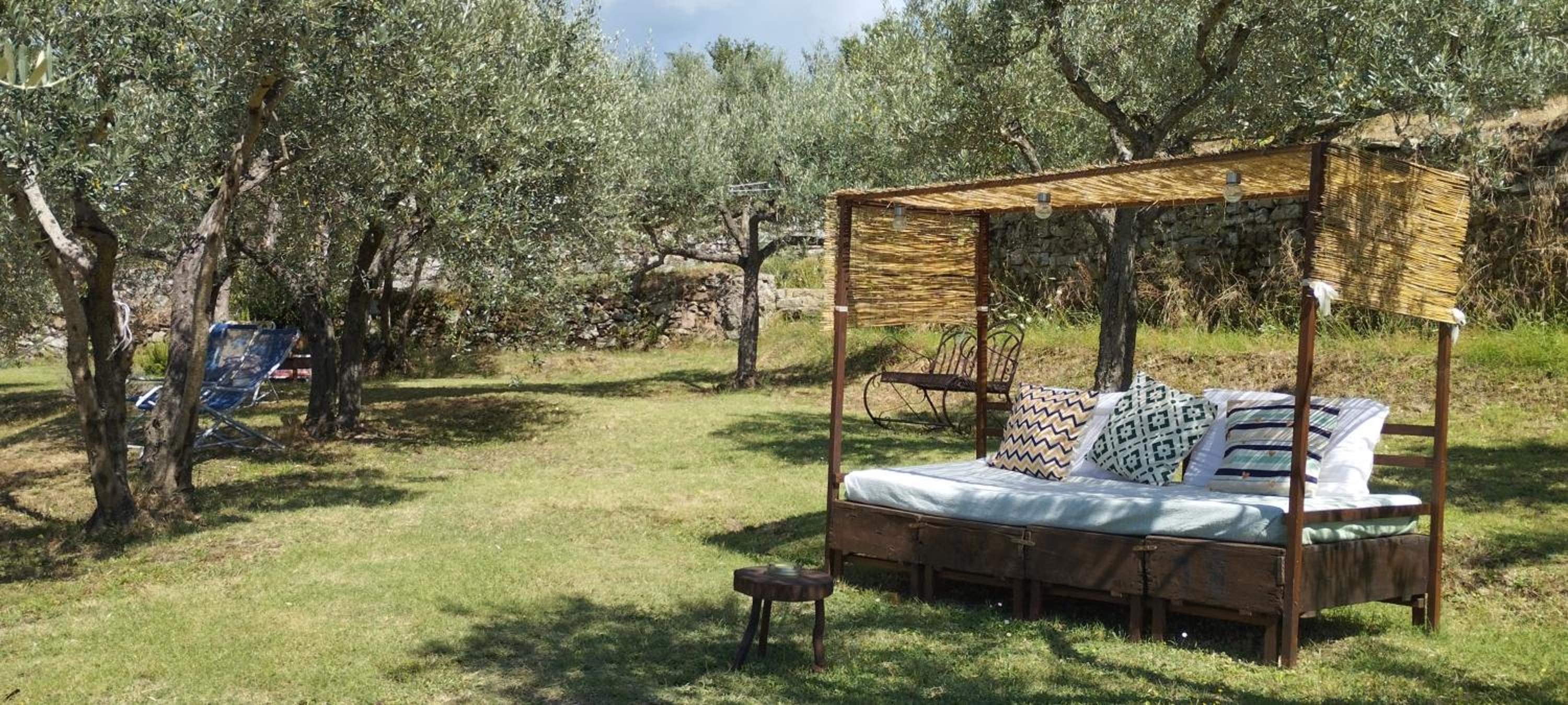 Cortona Vacations - La Casa Tra Gli Ulivi - Property Image 4