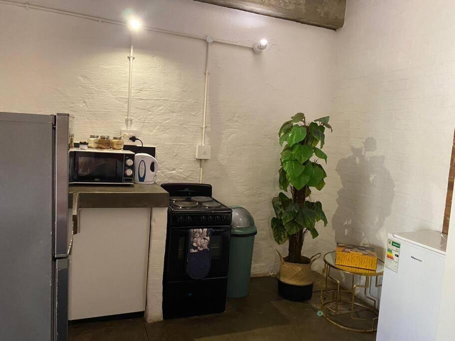 Maboneng Oasis
