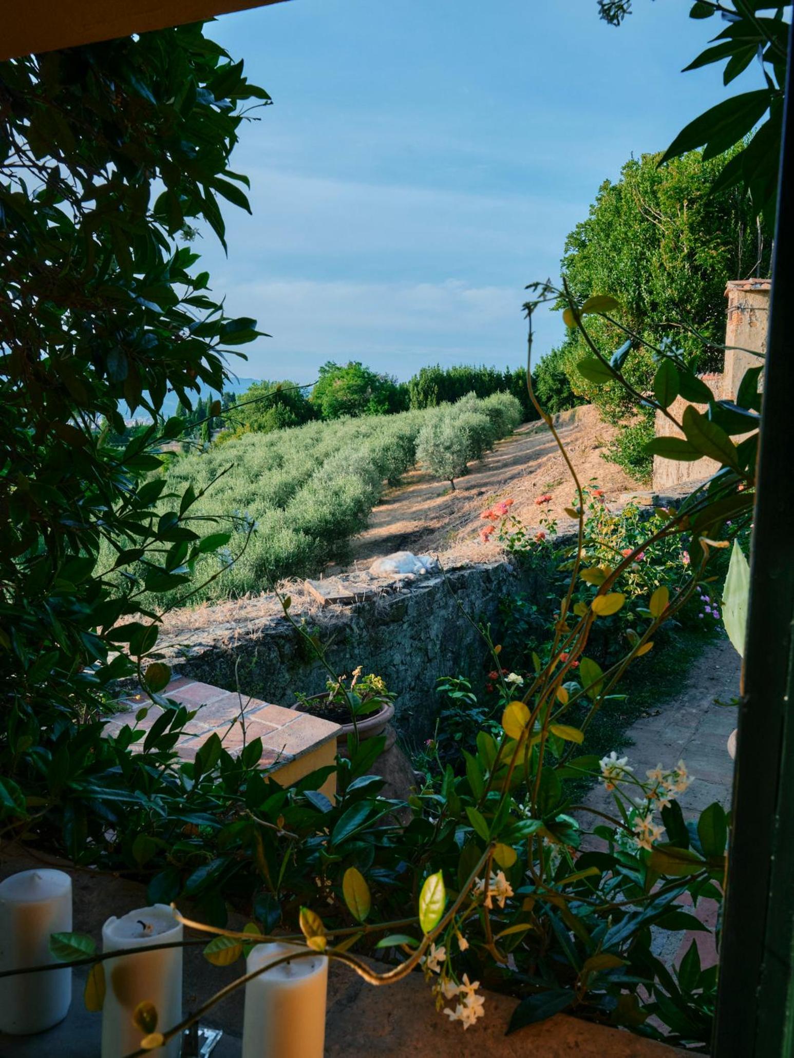 Charming cottage only for you, a hidden gem 10mn walk to historic center, stunning view