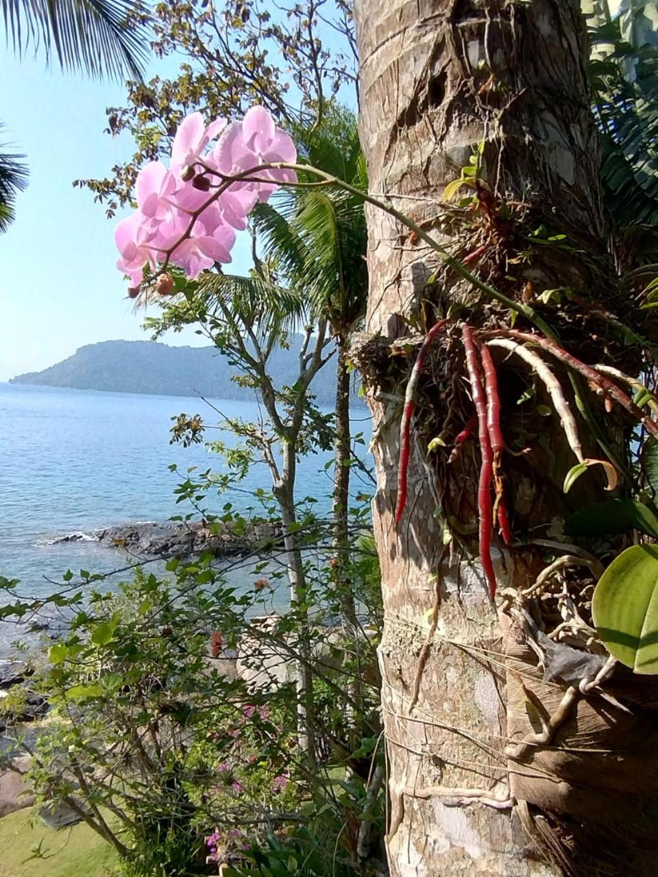 Angra House - Linda Casa em ILHA