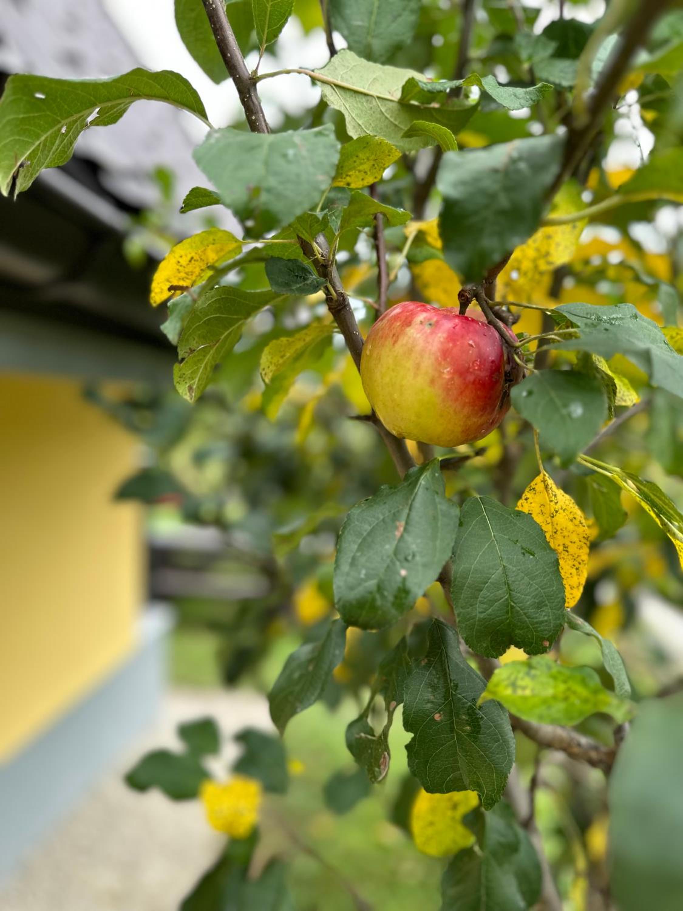 B&B Hills Bihać