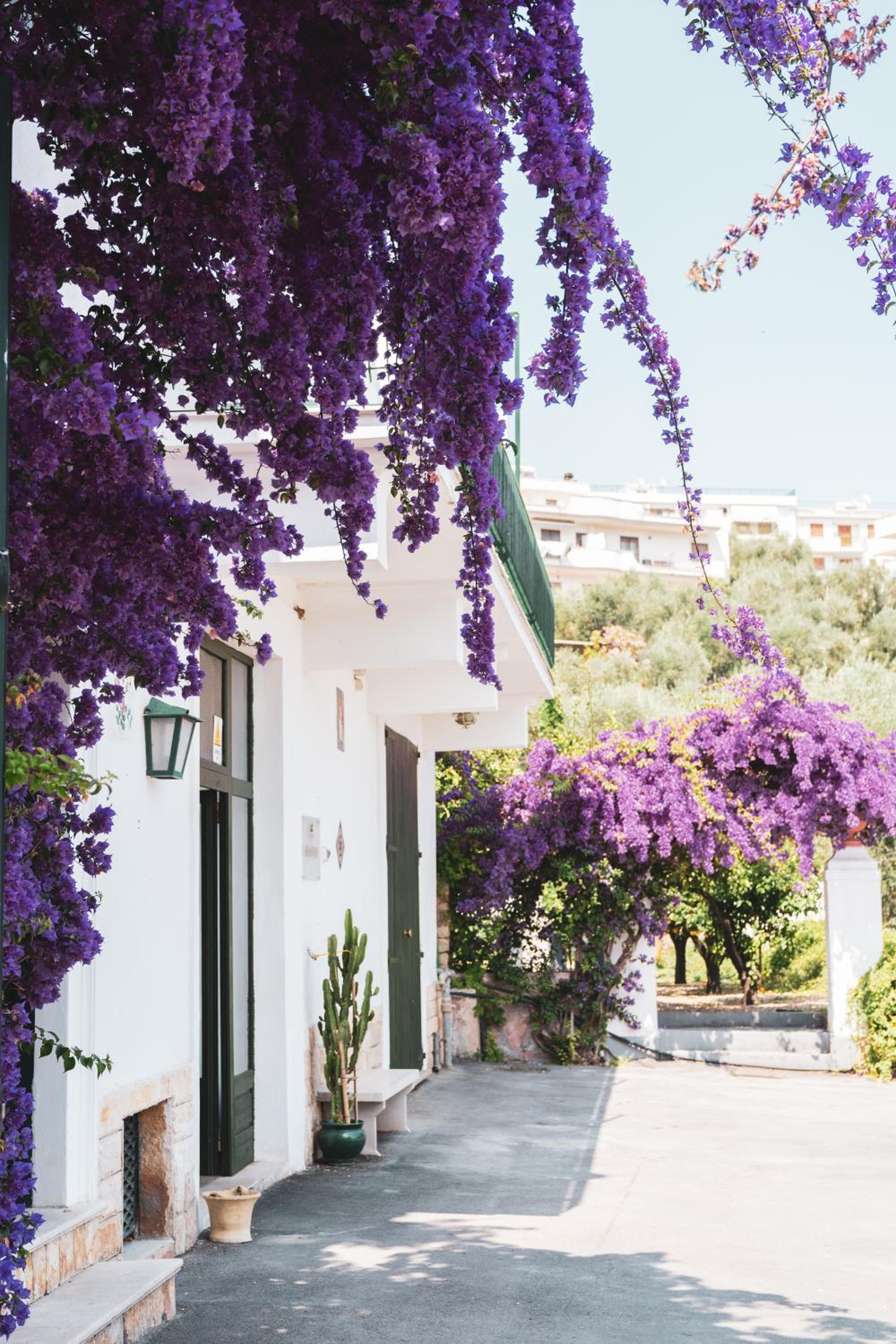 Hotel Agriturismo Giorgio - Image 1