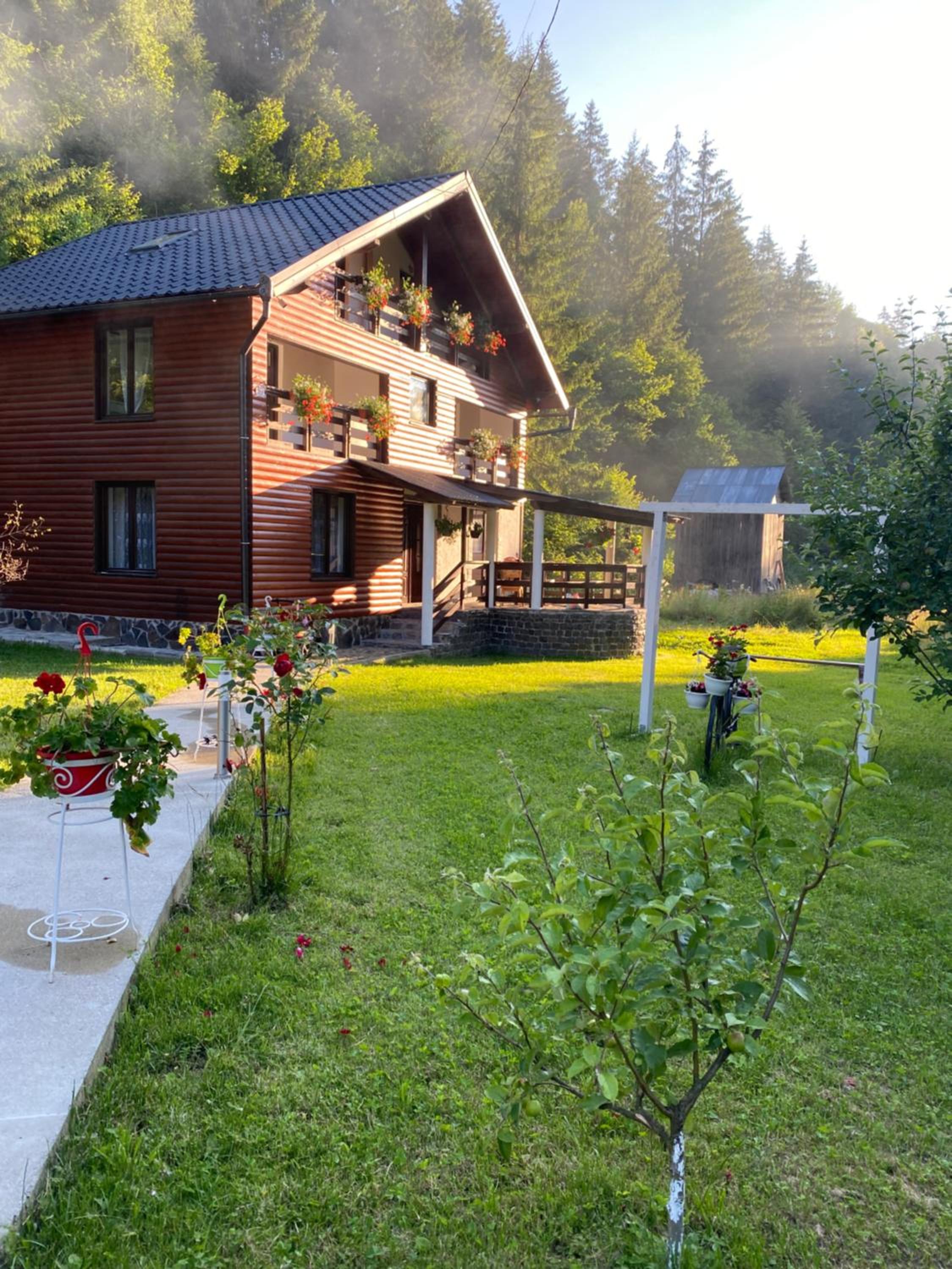 Photo 17