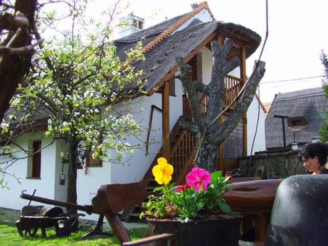 Photo 54